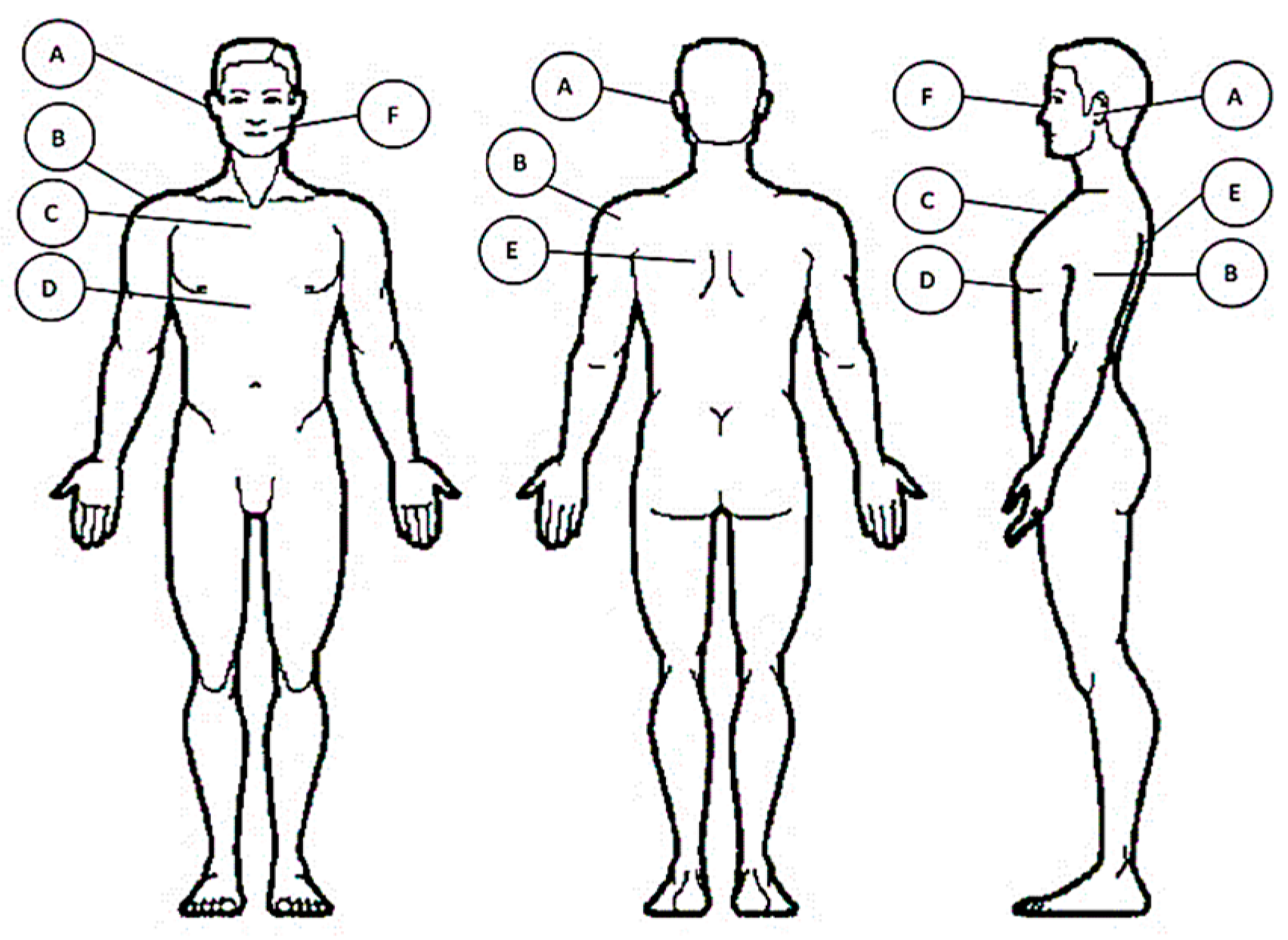 Processes 07 00720 g002