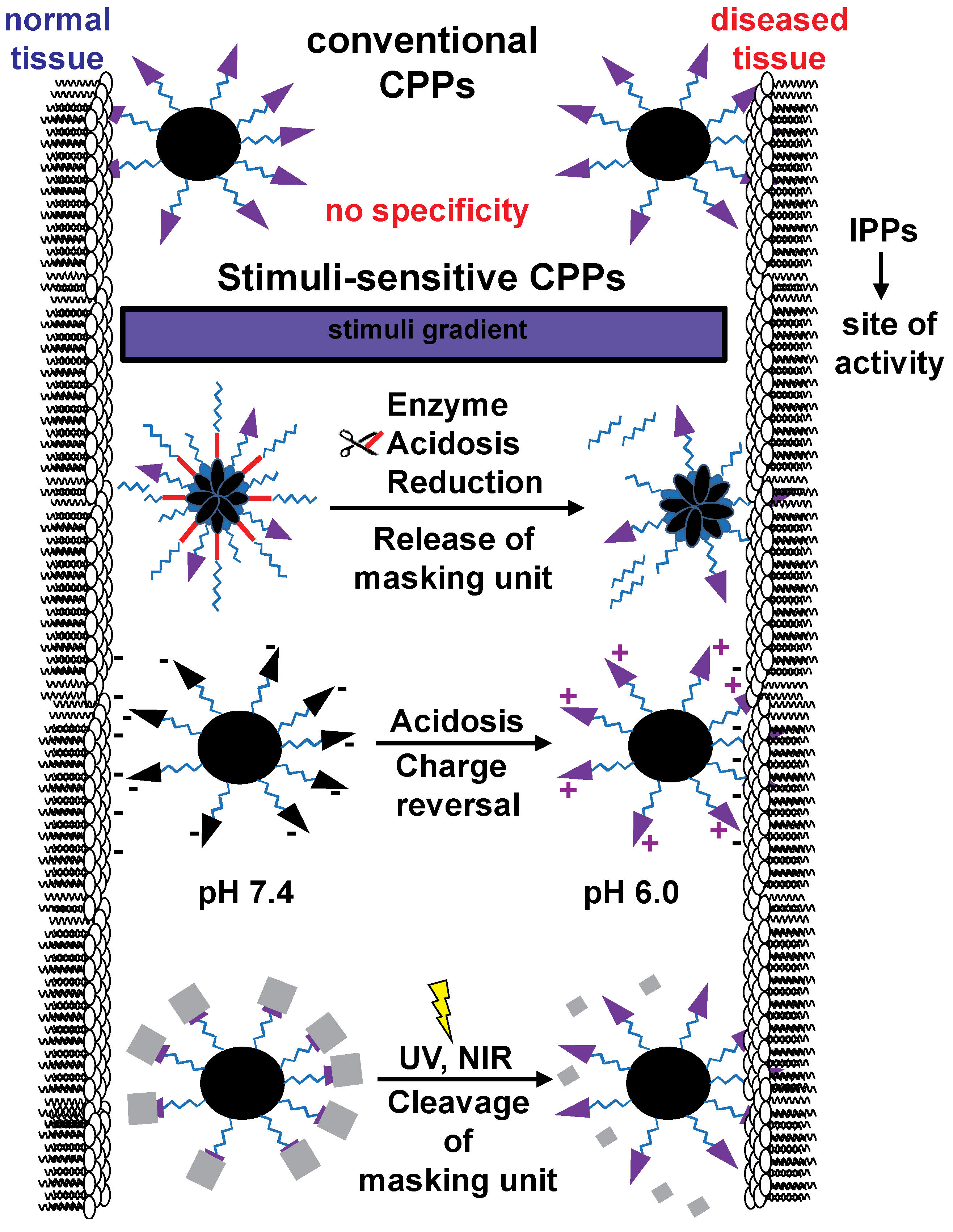 Processes 07 00727 g001 Processes 07 00727 g001