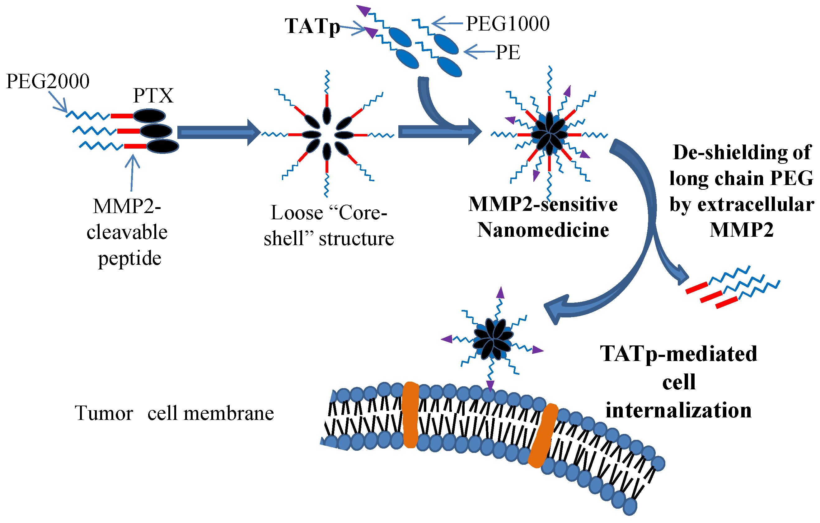 Processes 07 00727 g002 Processes 07 00727 g002