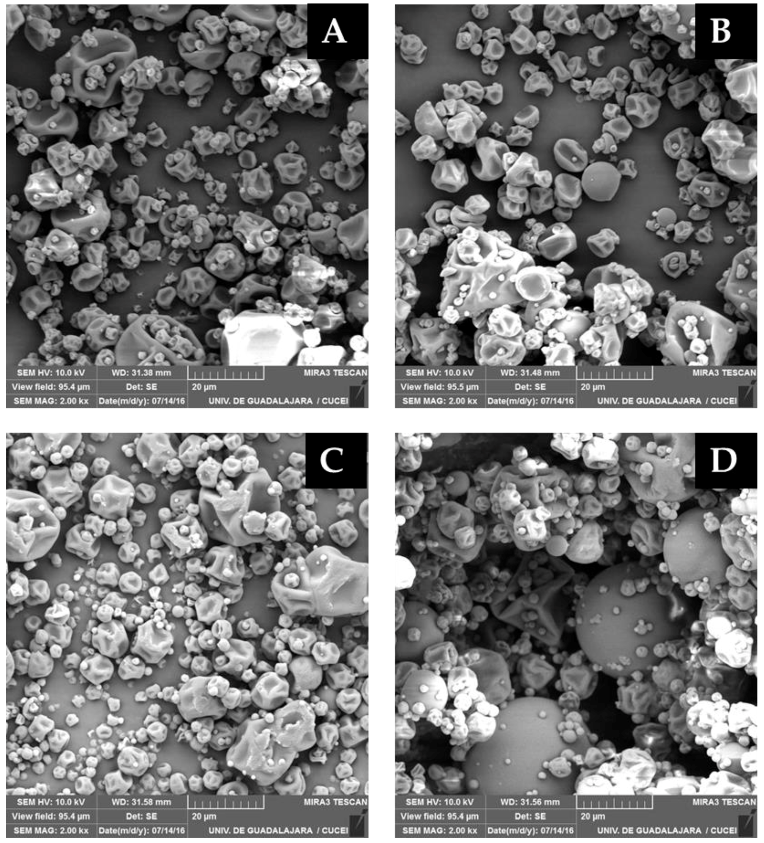 Processes 07 00734 g002
