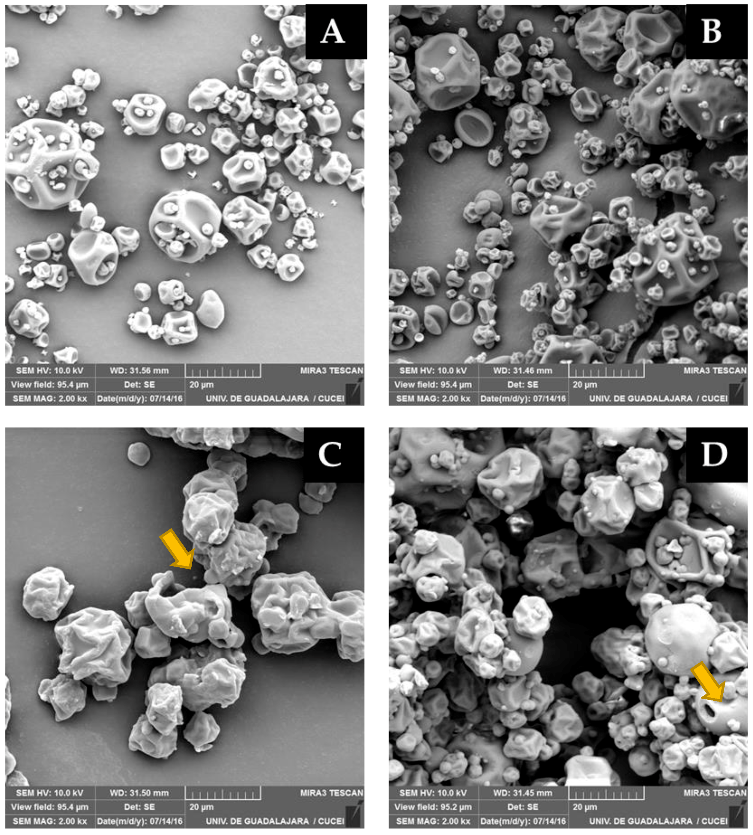 Processes 07 00734 g003