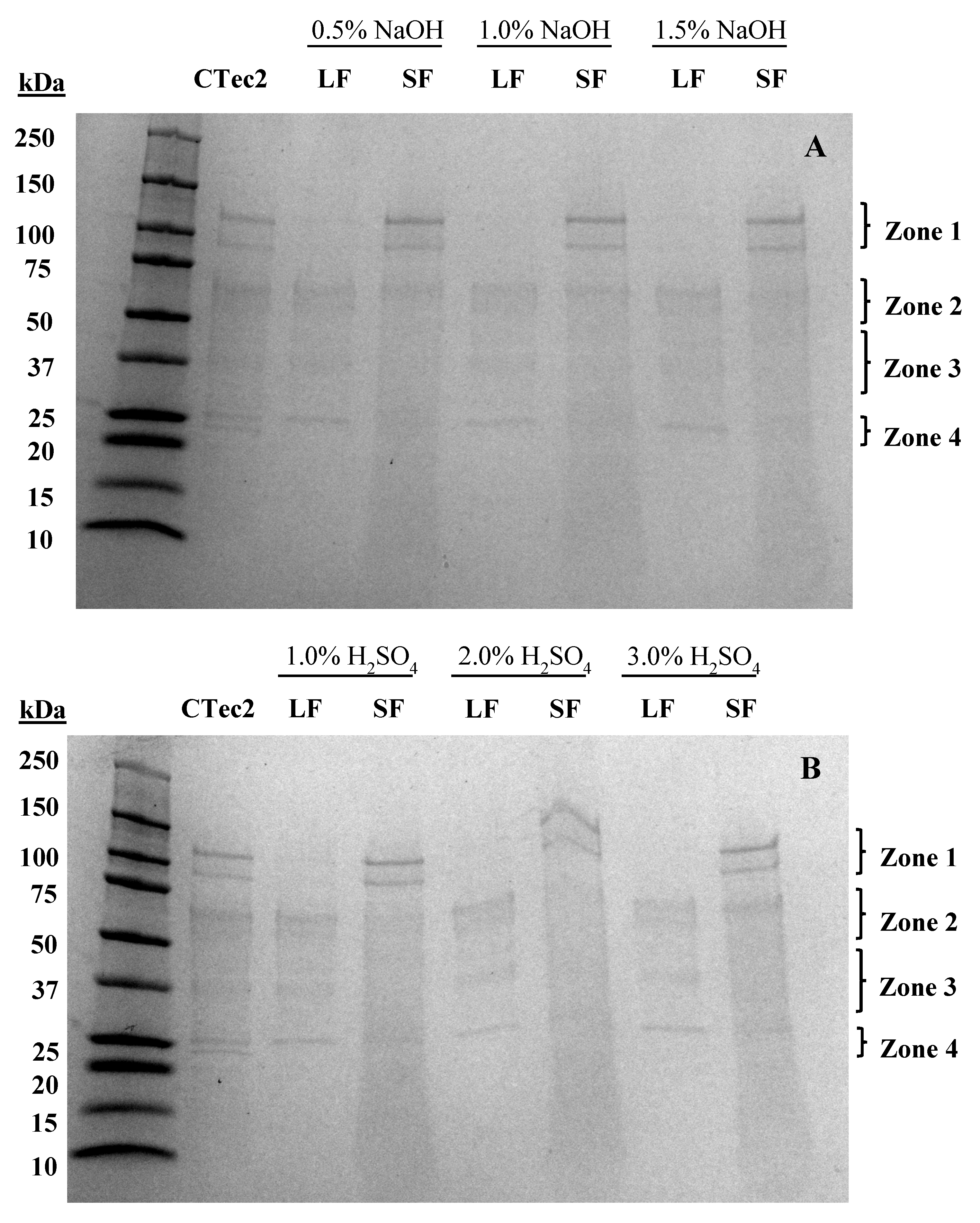 Processes 07 00755 g001 Processes 07 00755 g001