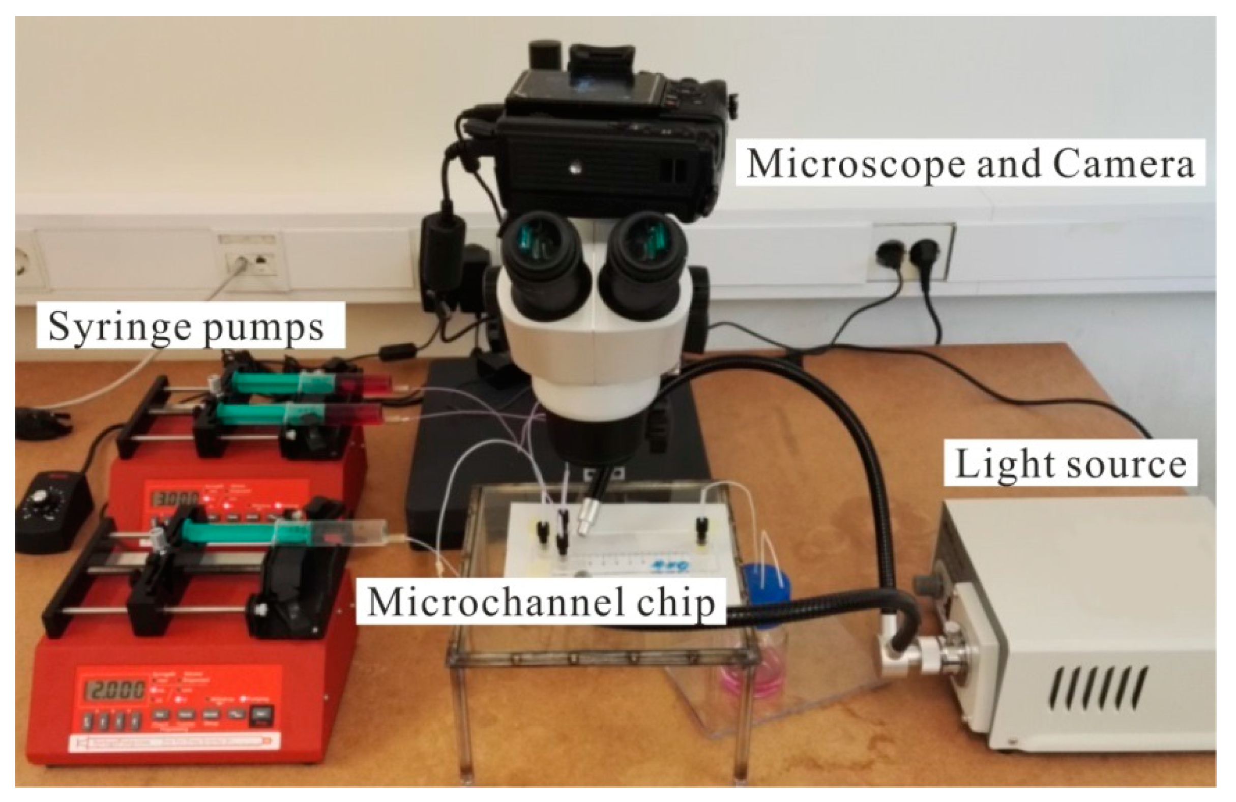 Processes 07 00765 g001