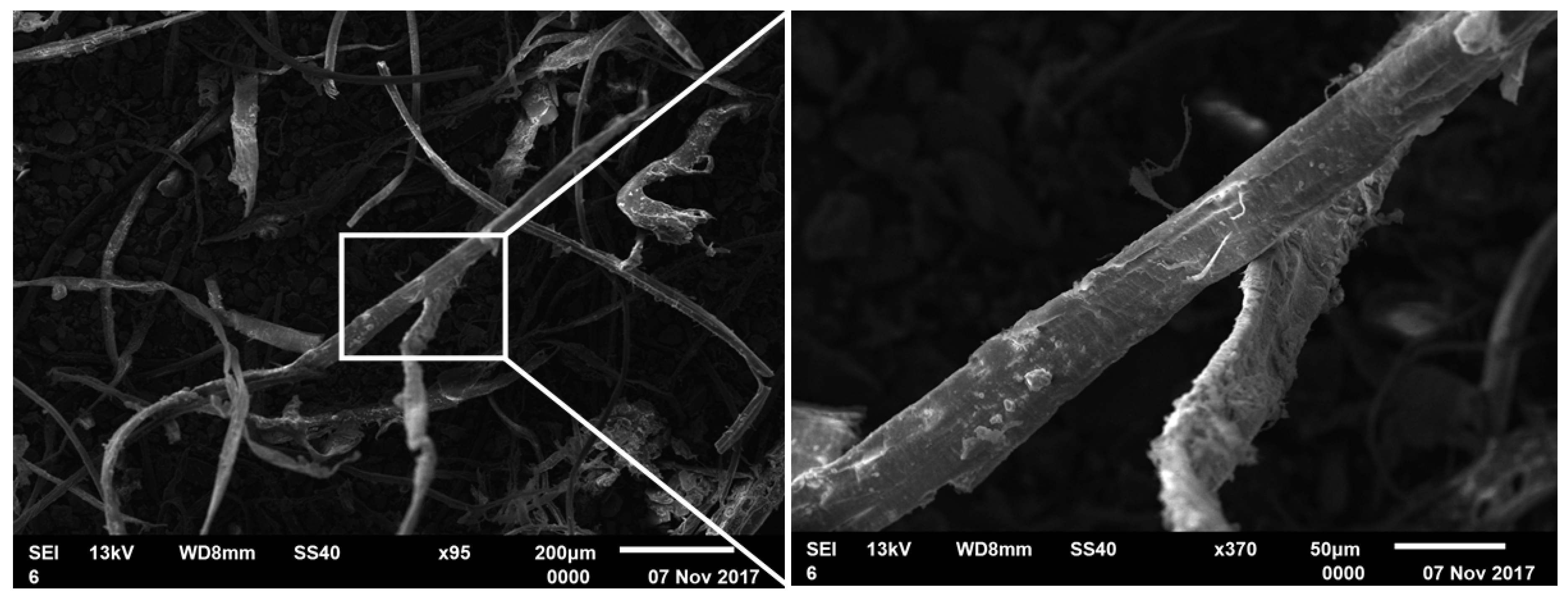 Processes 07 00782 g001 Processes 07 00782 g001