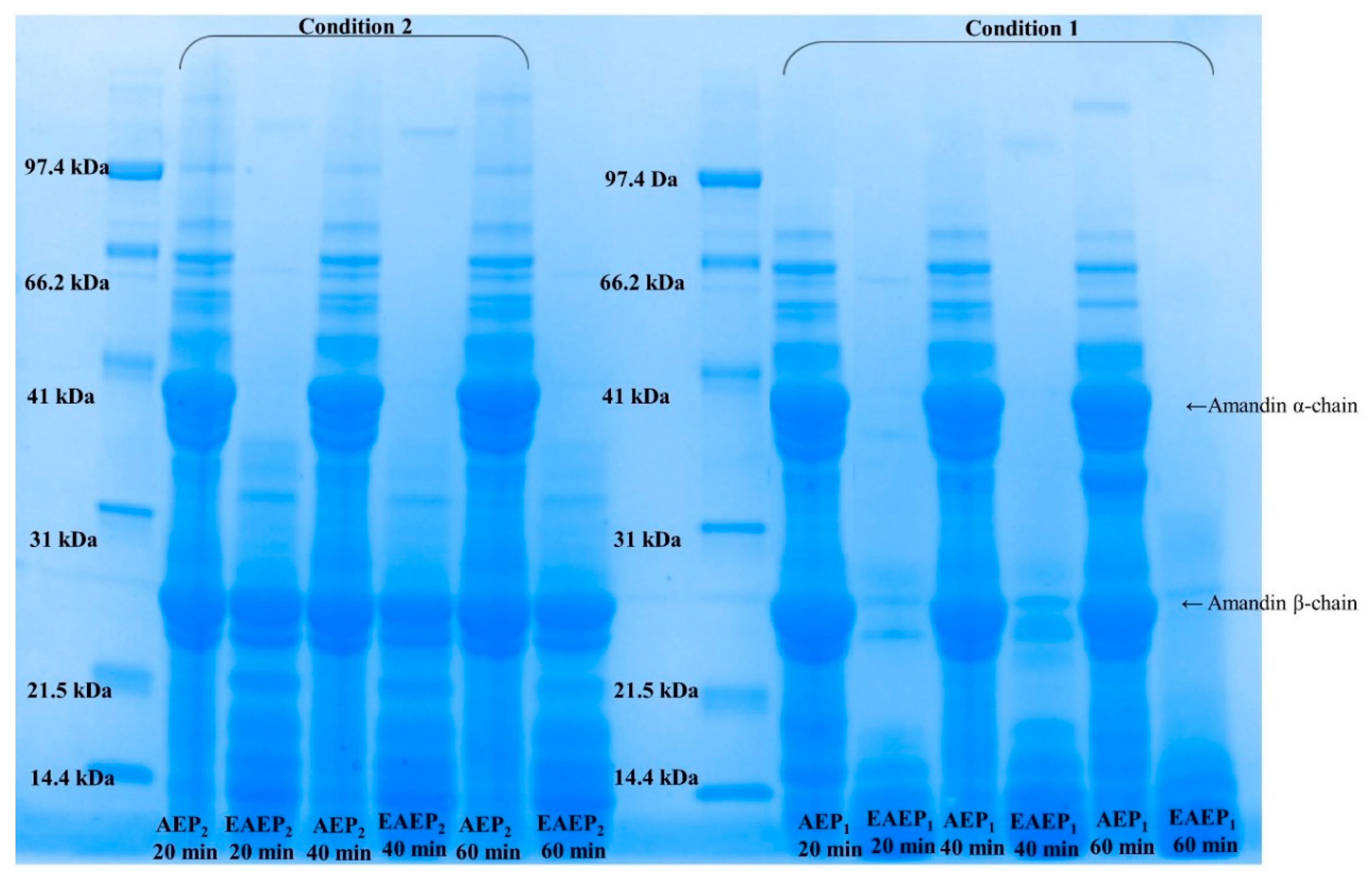 Processes 07 00844 g007