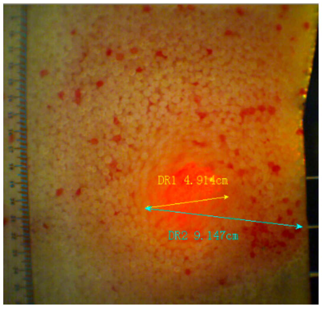 Processes 07 00867 g005 Processes 07 00867 g005