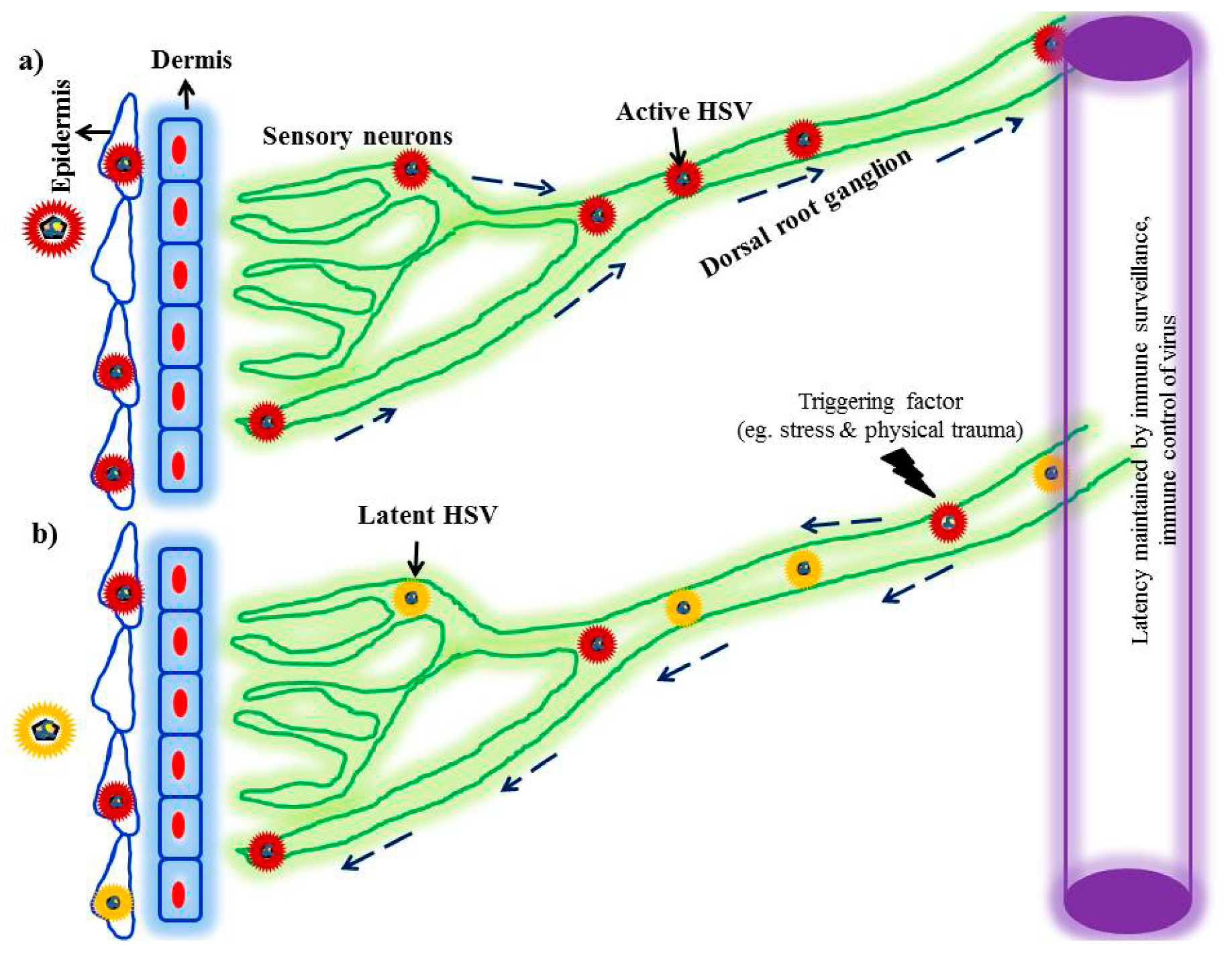 Processes 07 00887 g001 Processes 07 00887 g001