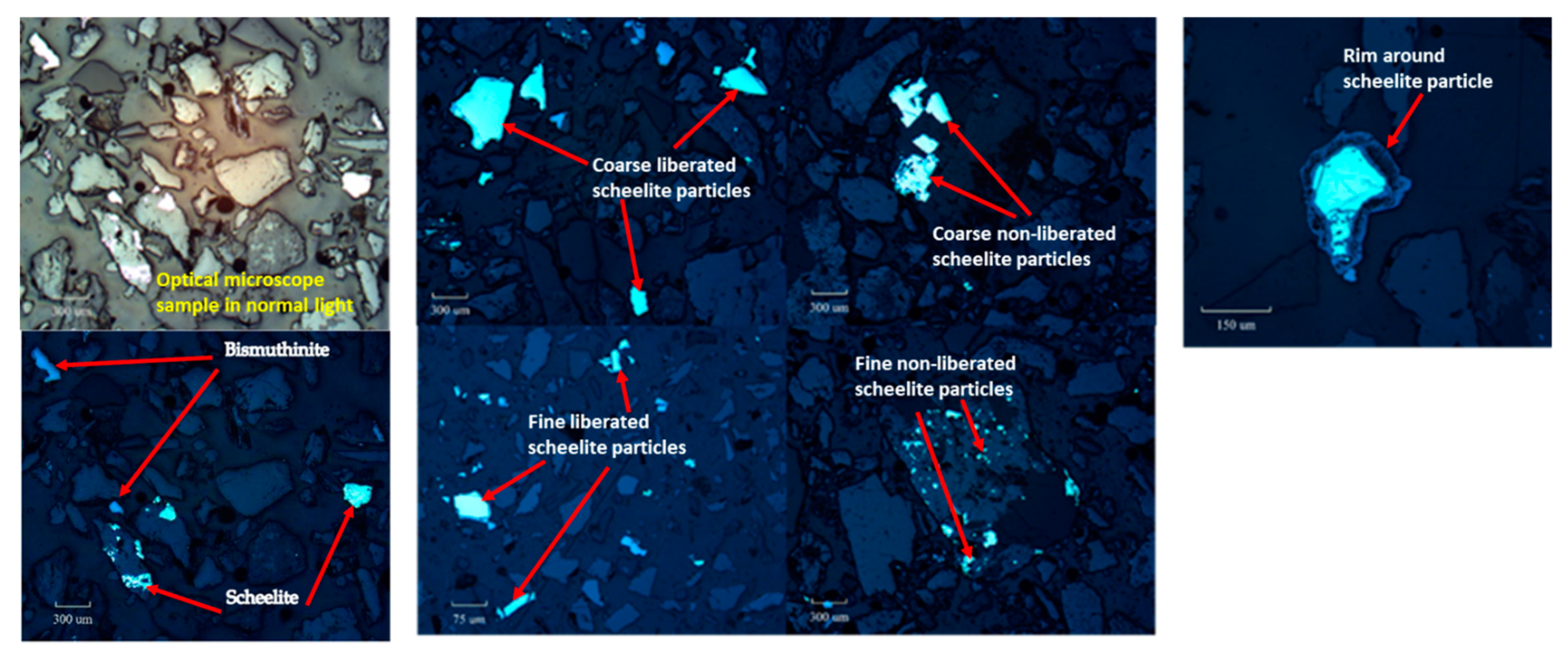 Processes 07 00895 g013