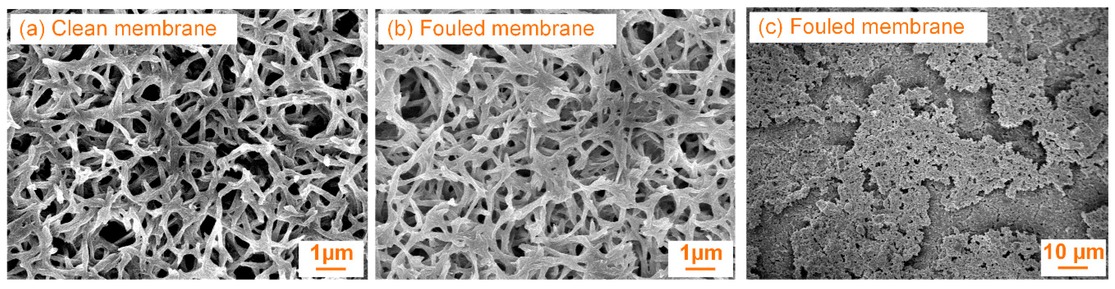 Processes 07 00897 g005