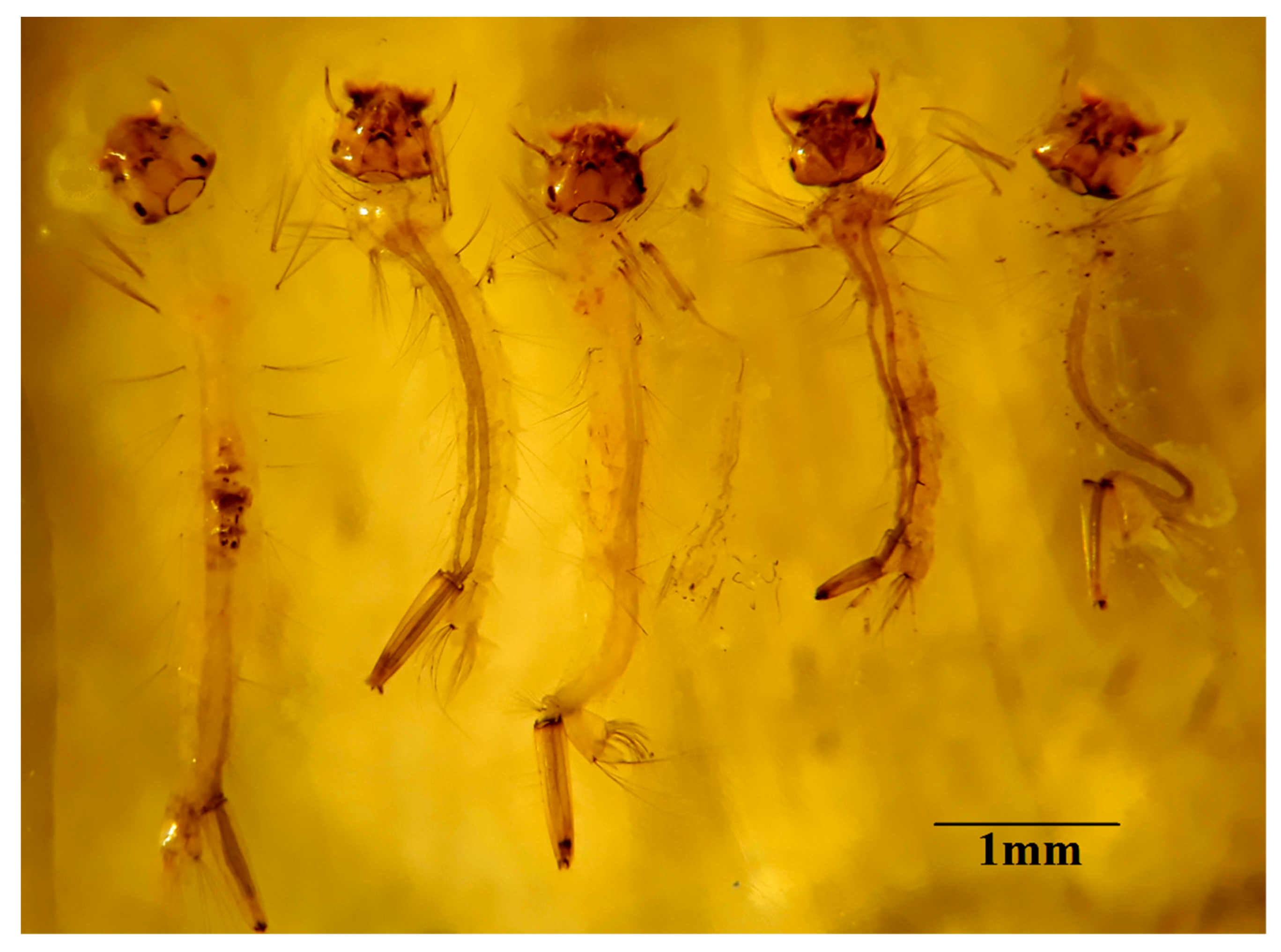 Processes 07 00933 g004 Processes 07 00933 g004