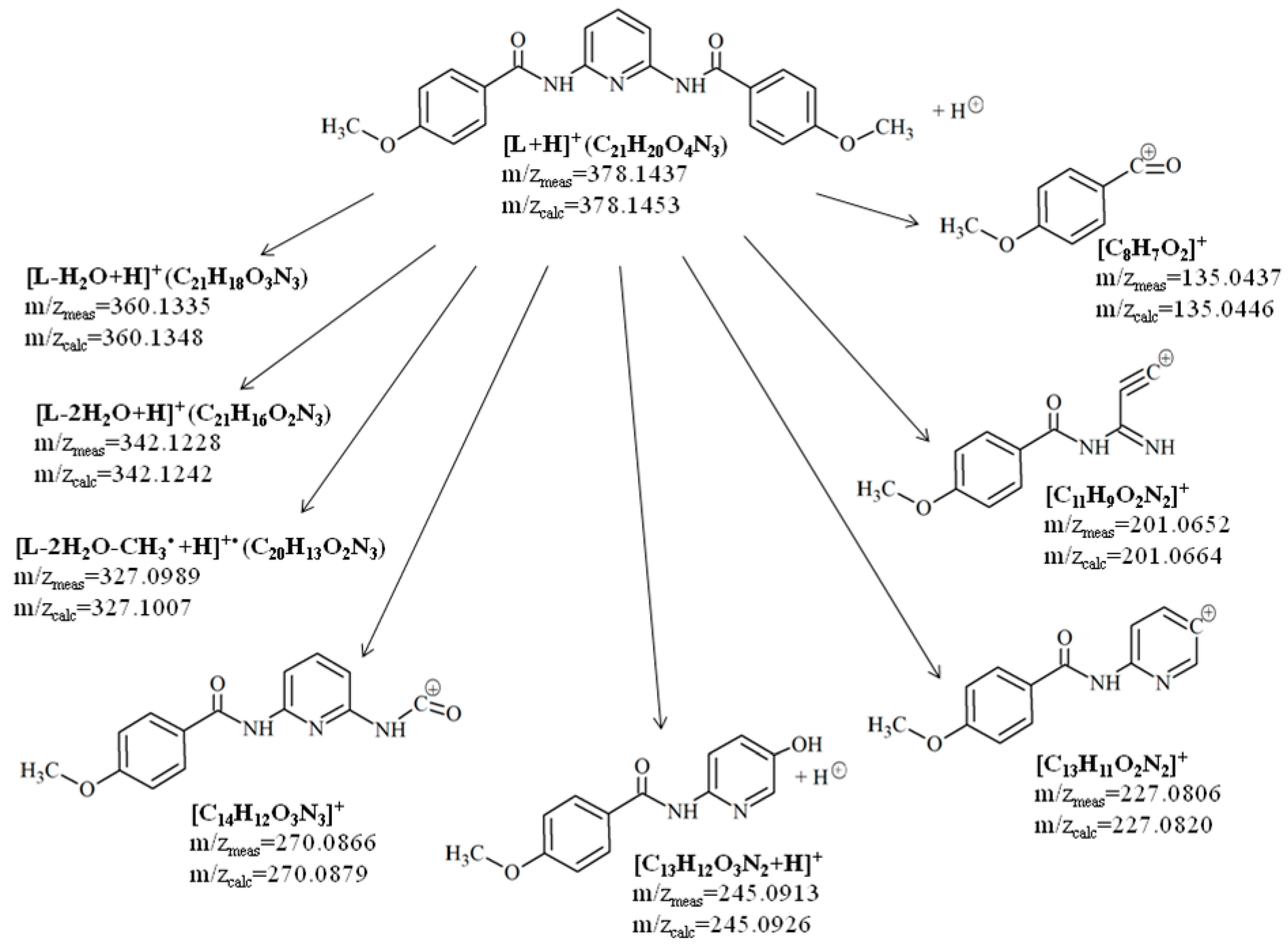 Processes 07 00954 g002