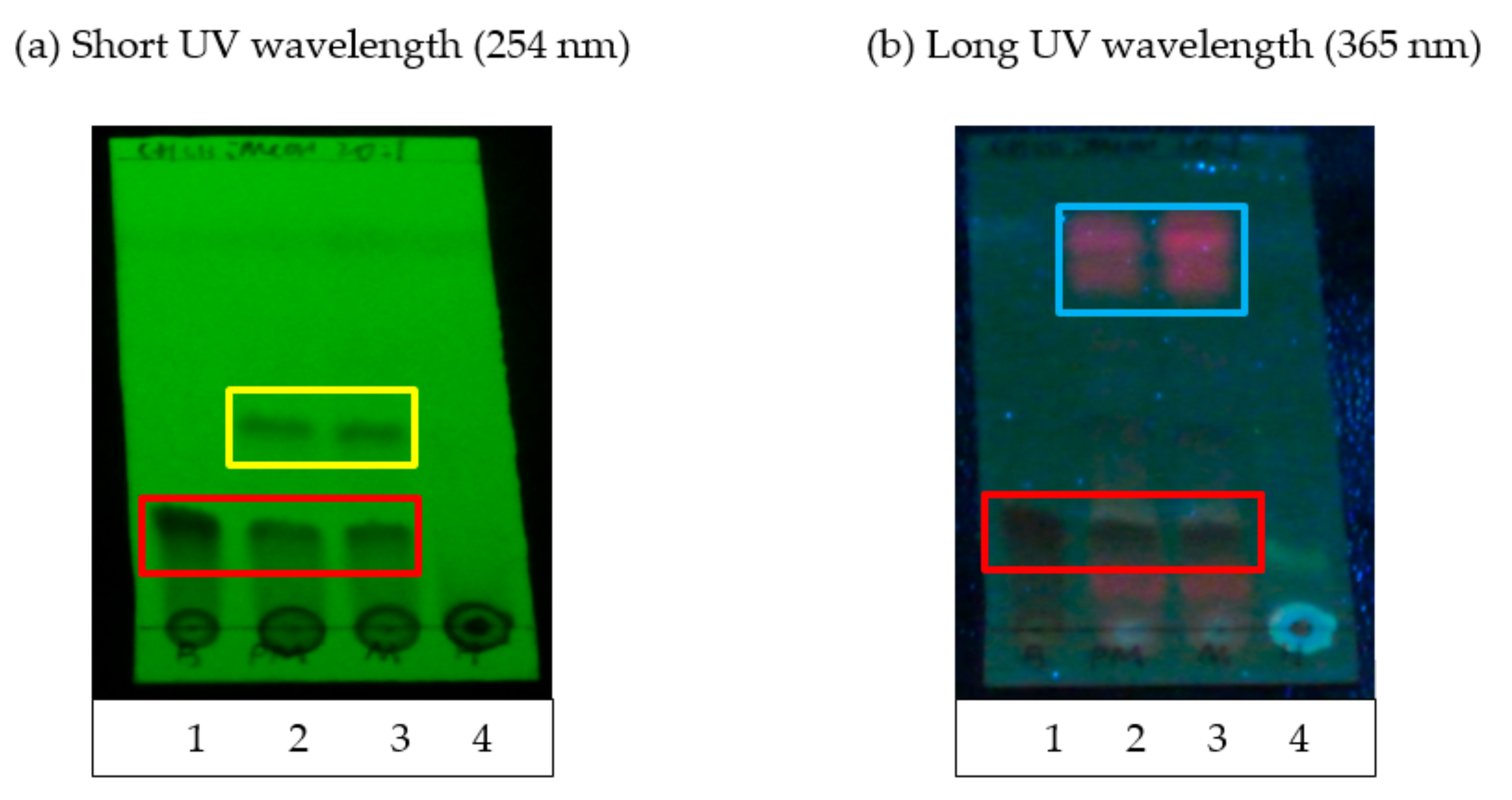 Processes 07 00963 g001