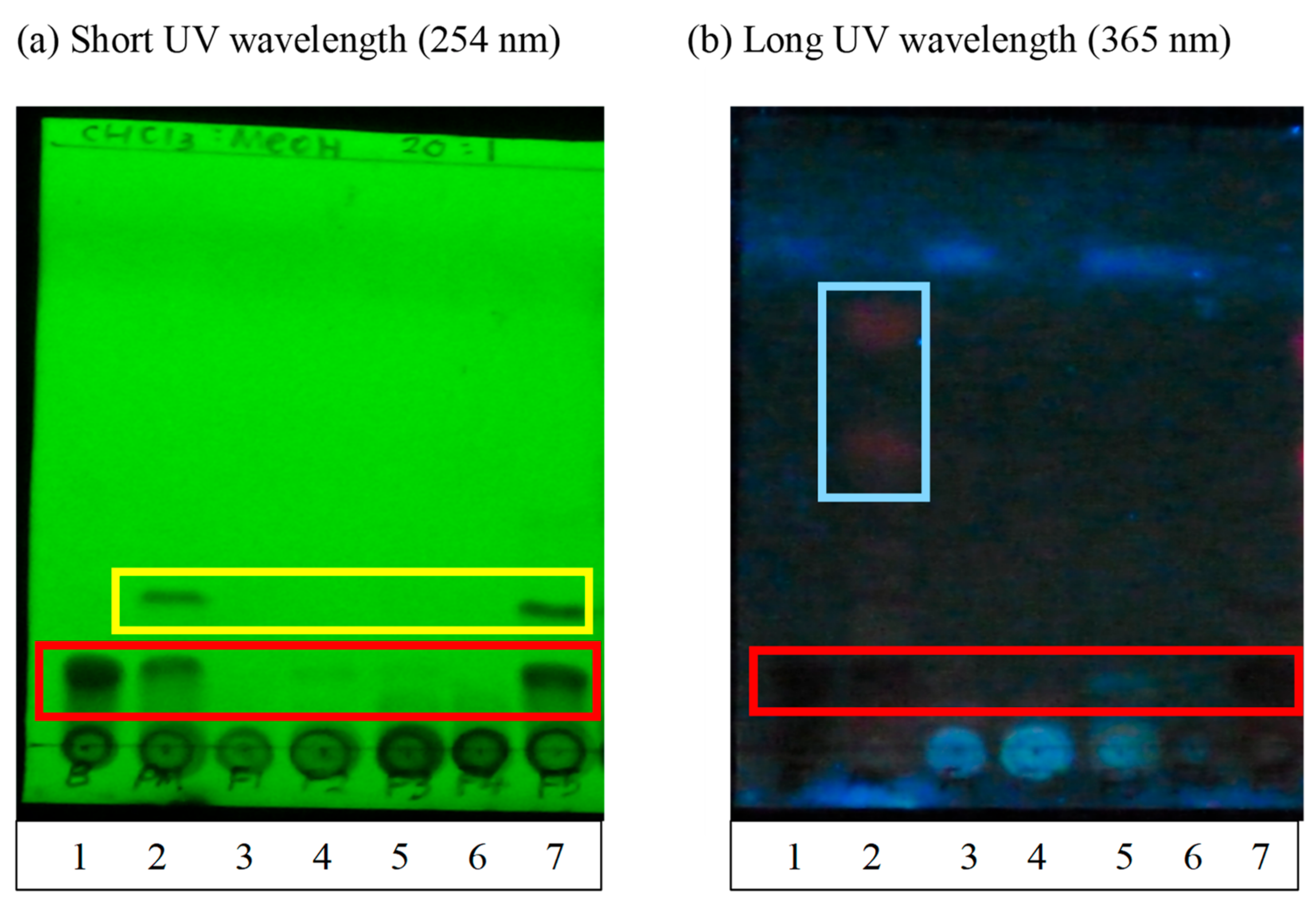 Processes 07 00963 g004