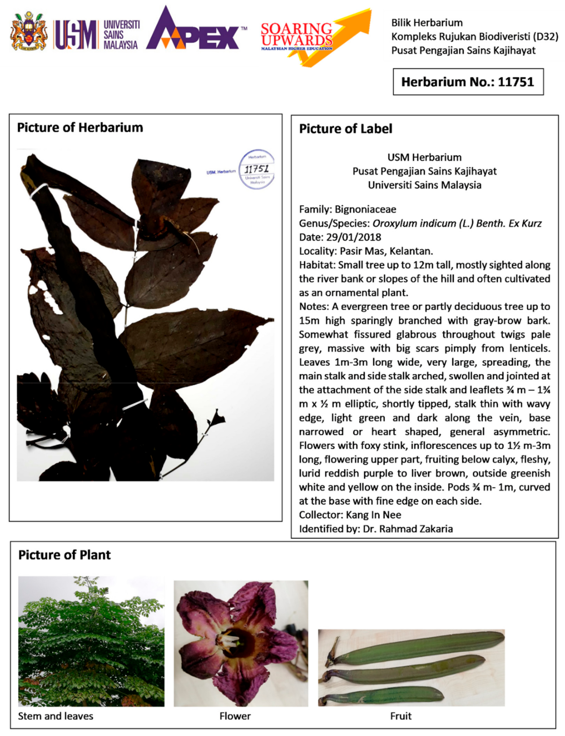 Processes 07 00963 i001