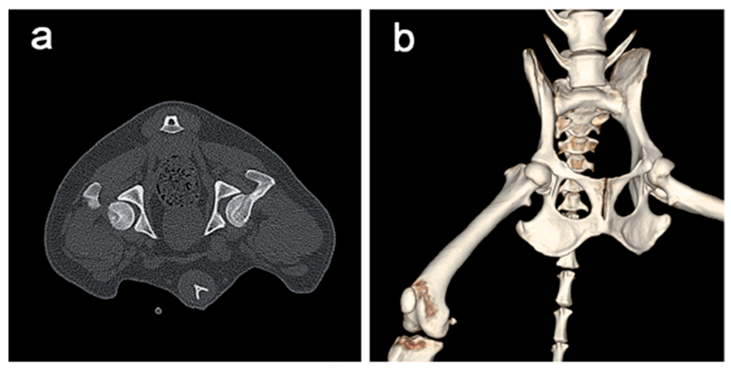 Processes 08 00025 g003