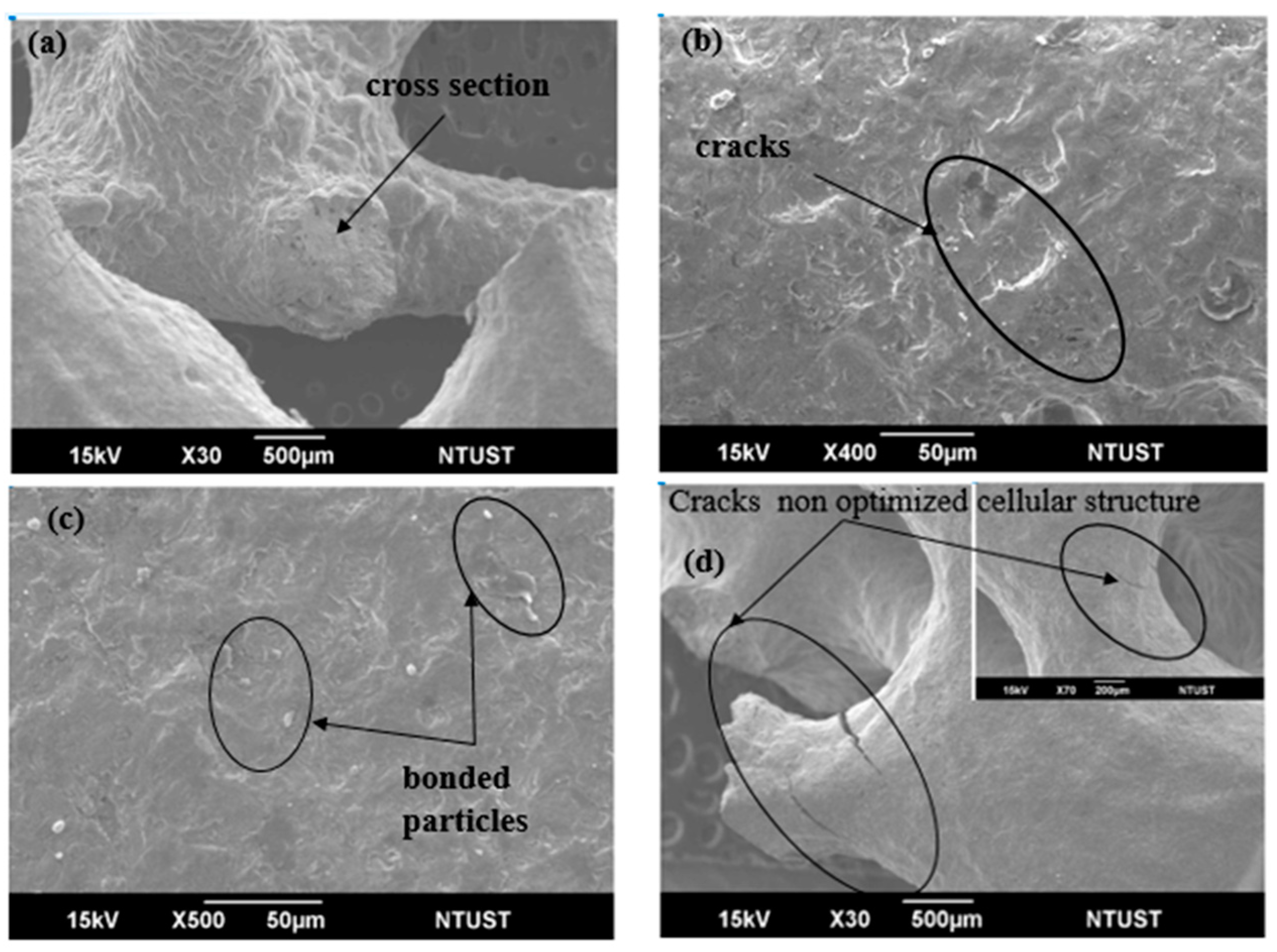 Processes 08 00025 g008