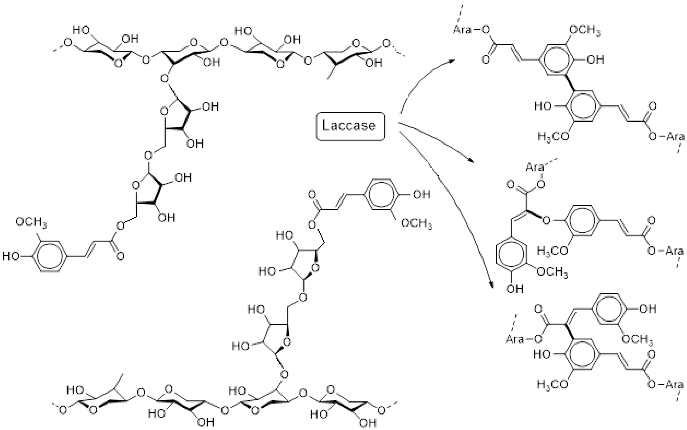 Processes 08 00036 g001 Processes 08 00036 g001