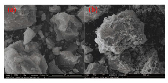 CarbonExtract® for primary sludge extraction