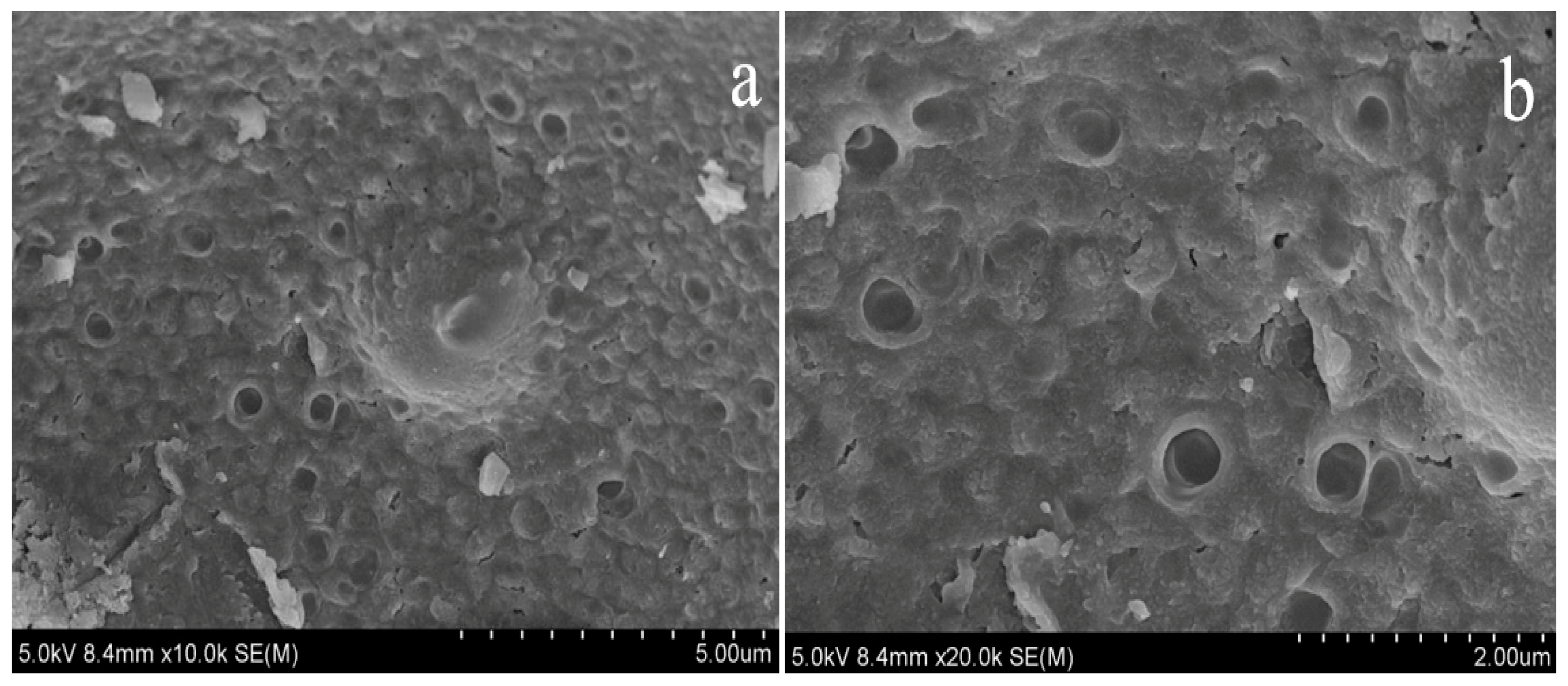 Processes 08 00120 g010