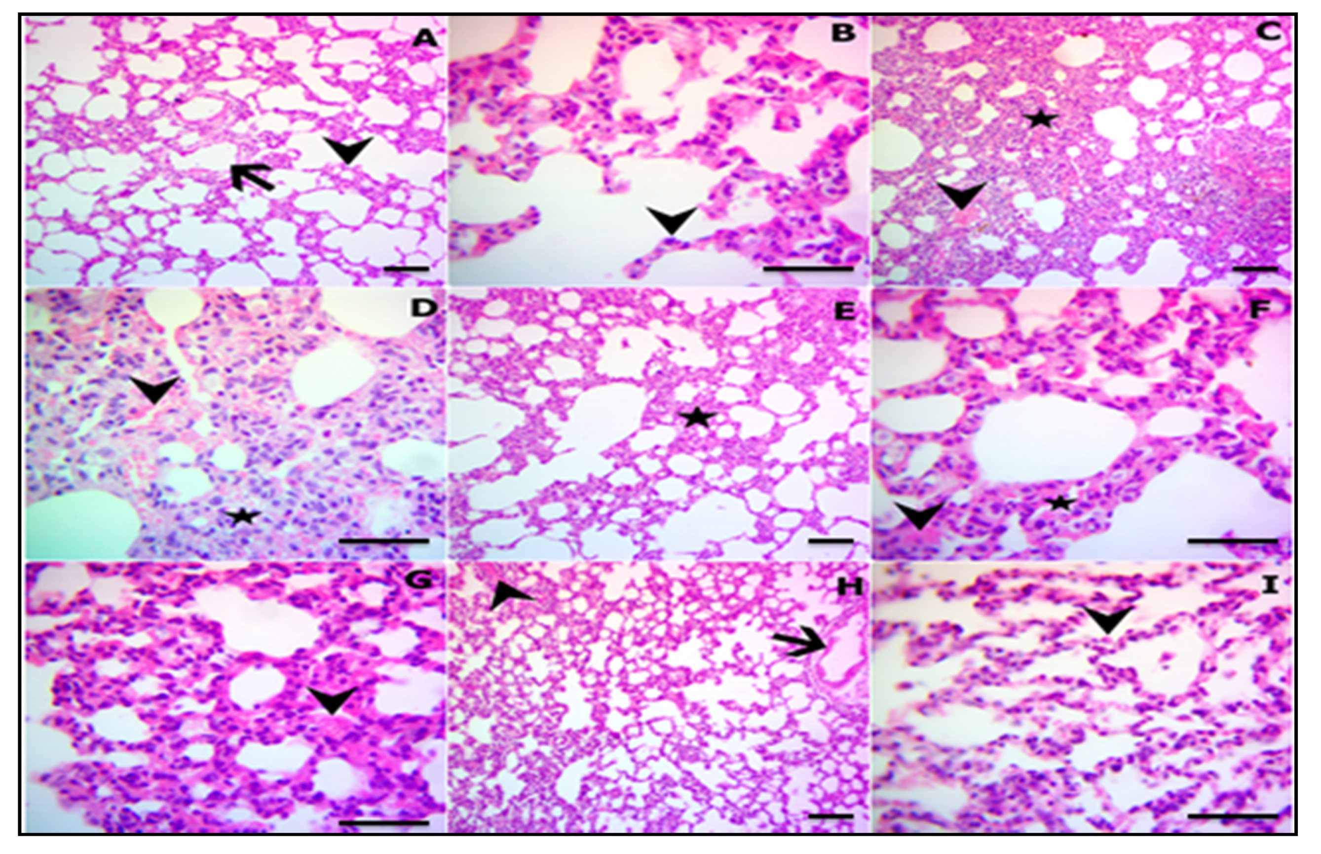 Processes 08 00127 g001