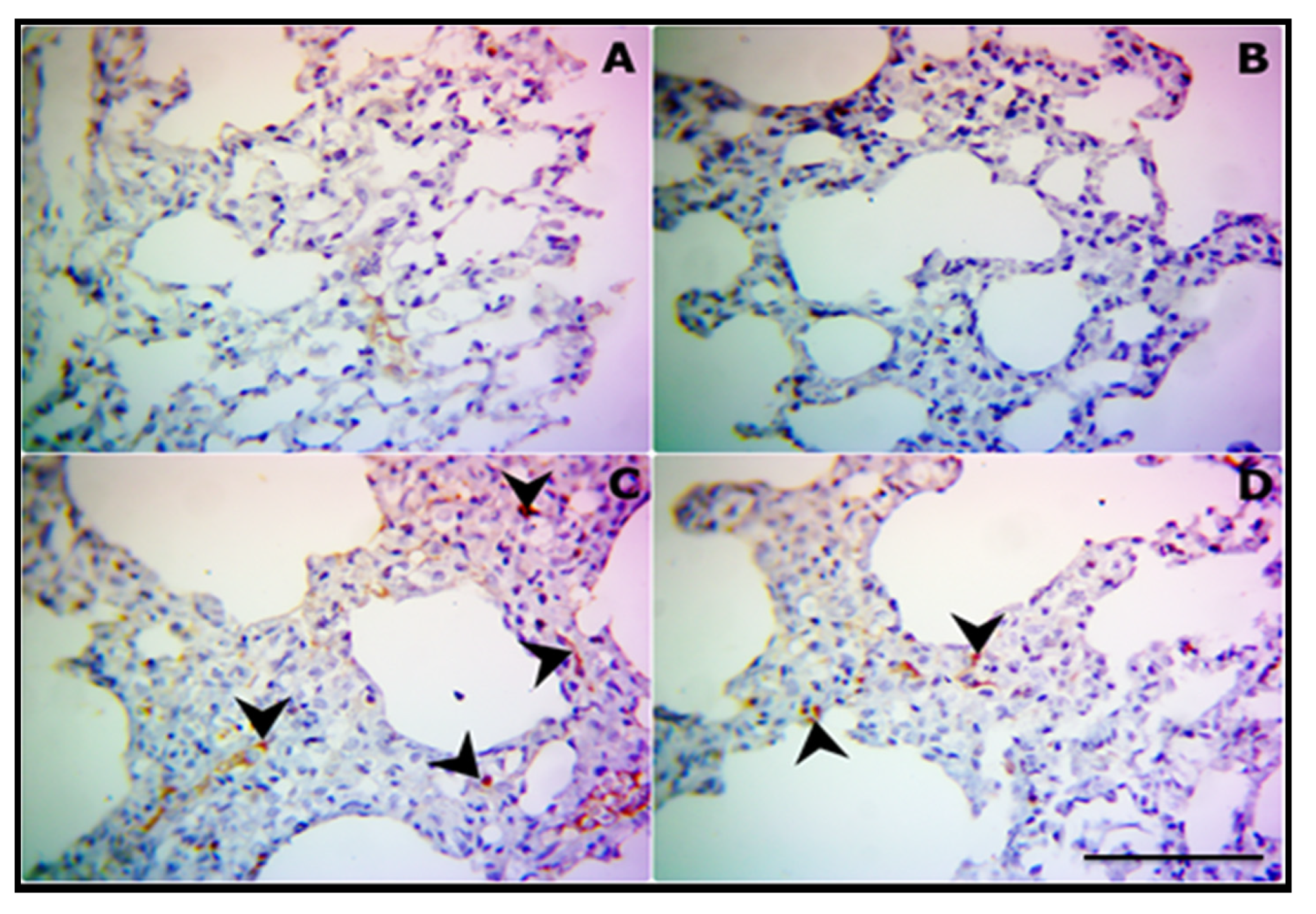 Processes 08 00127 g003