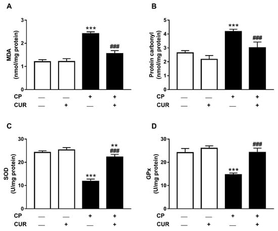 Processes Free Full Text Curcumin Prevents Cyclophosphamide Induced Lung Injury In Rats By Suppressing Oxidative Stress And Apoptosis Html