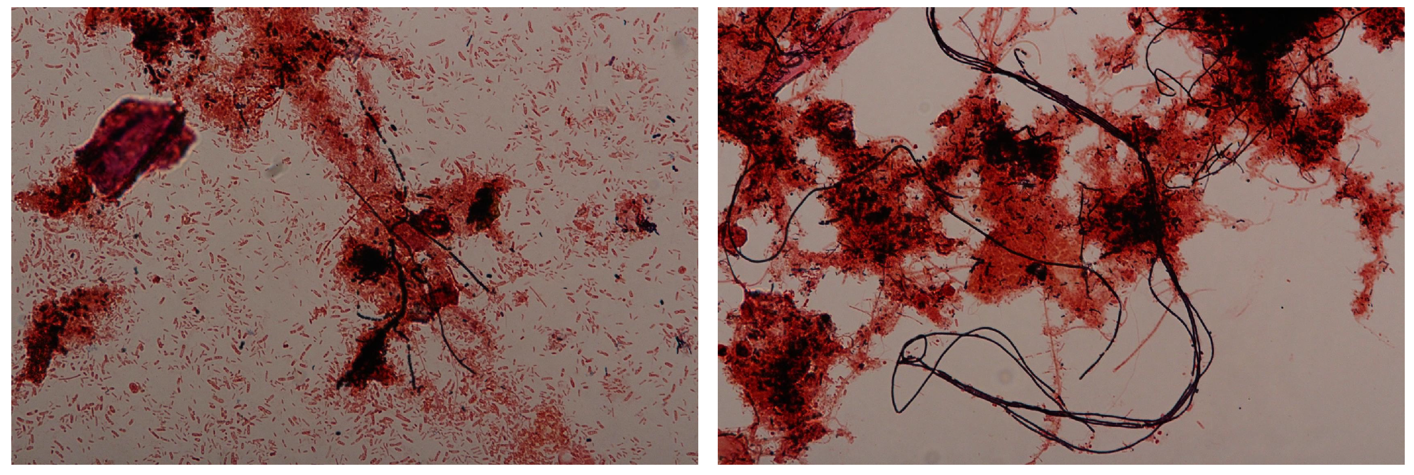 Processes 08 00131 g005 Processes 08 00131 g005