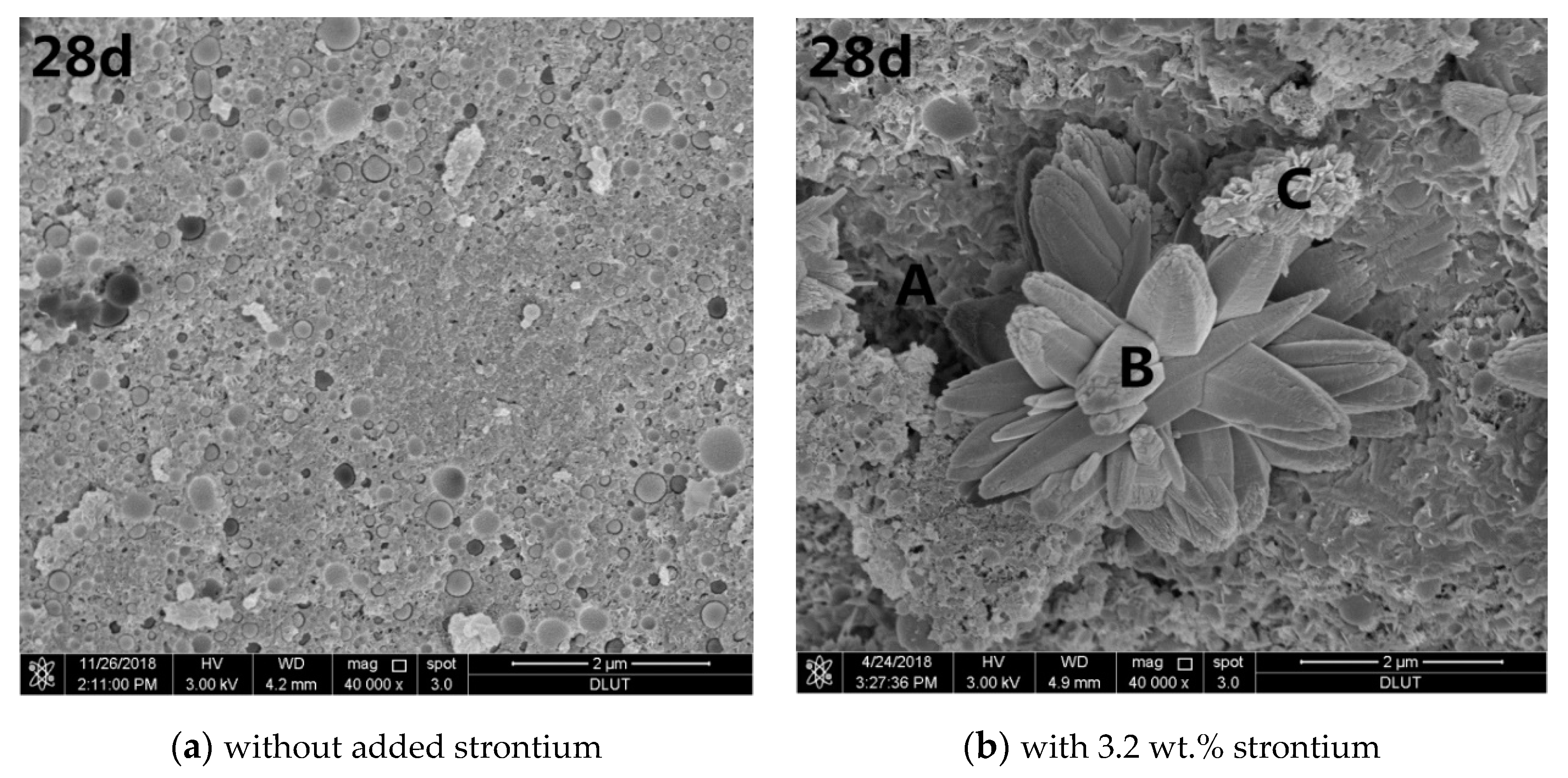 Processes 08 00163 g003b Processes 08 00163 g003b