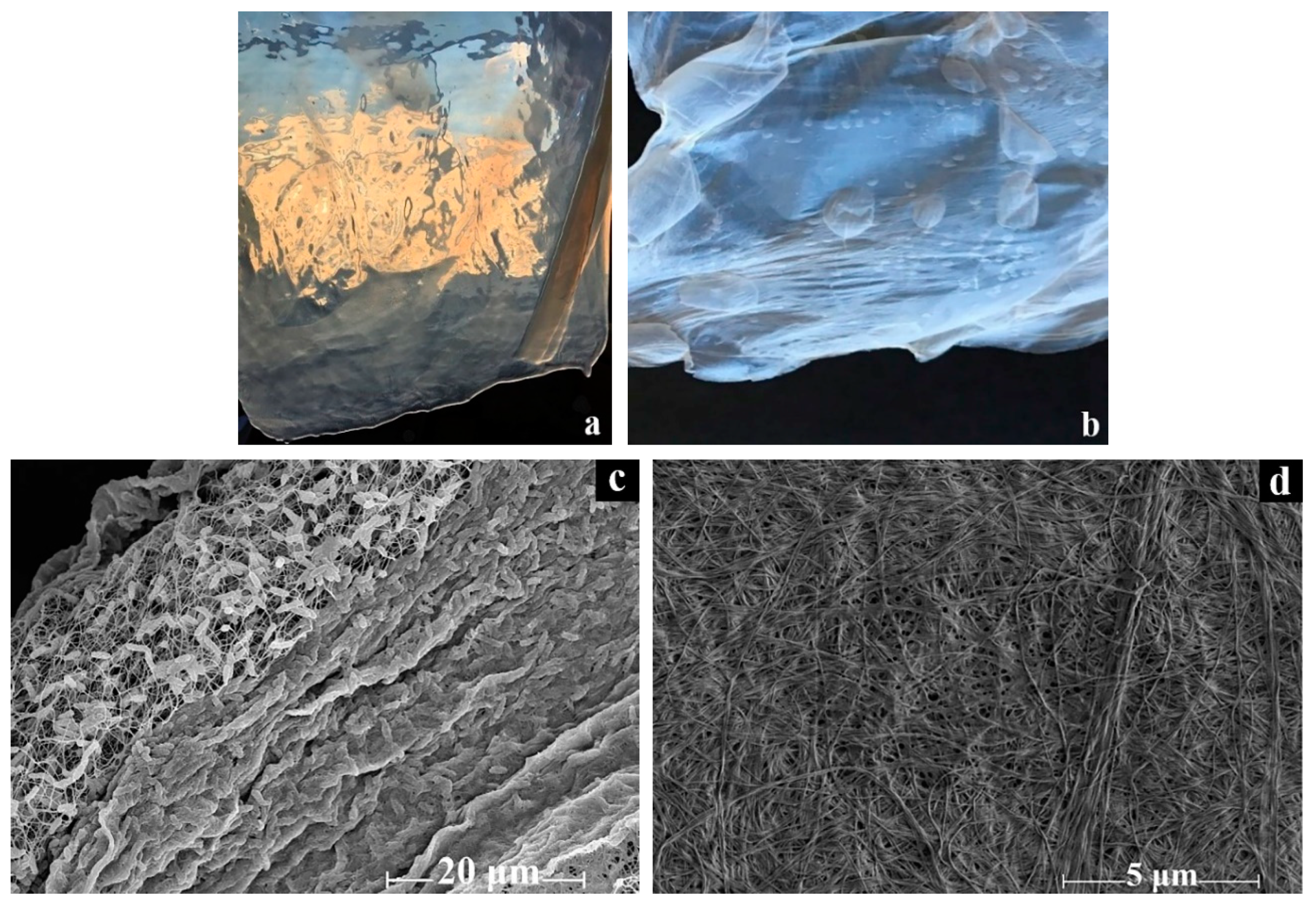 Processes 08 00171 g001