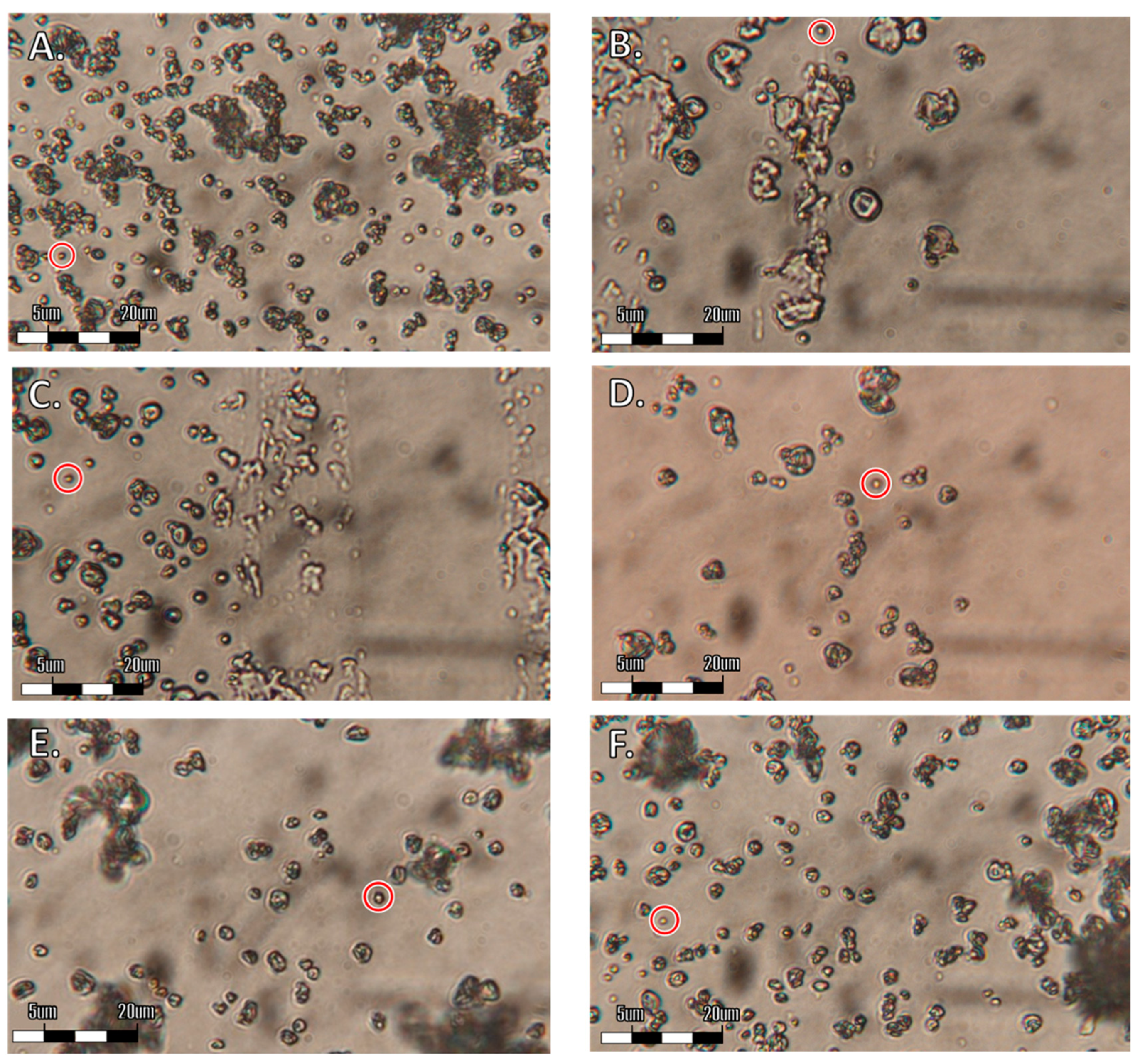 Processes 08 00172 g001a Processes 08 00172 g001a