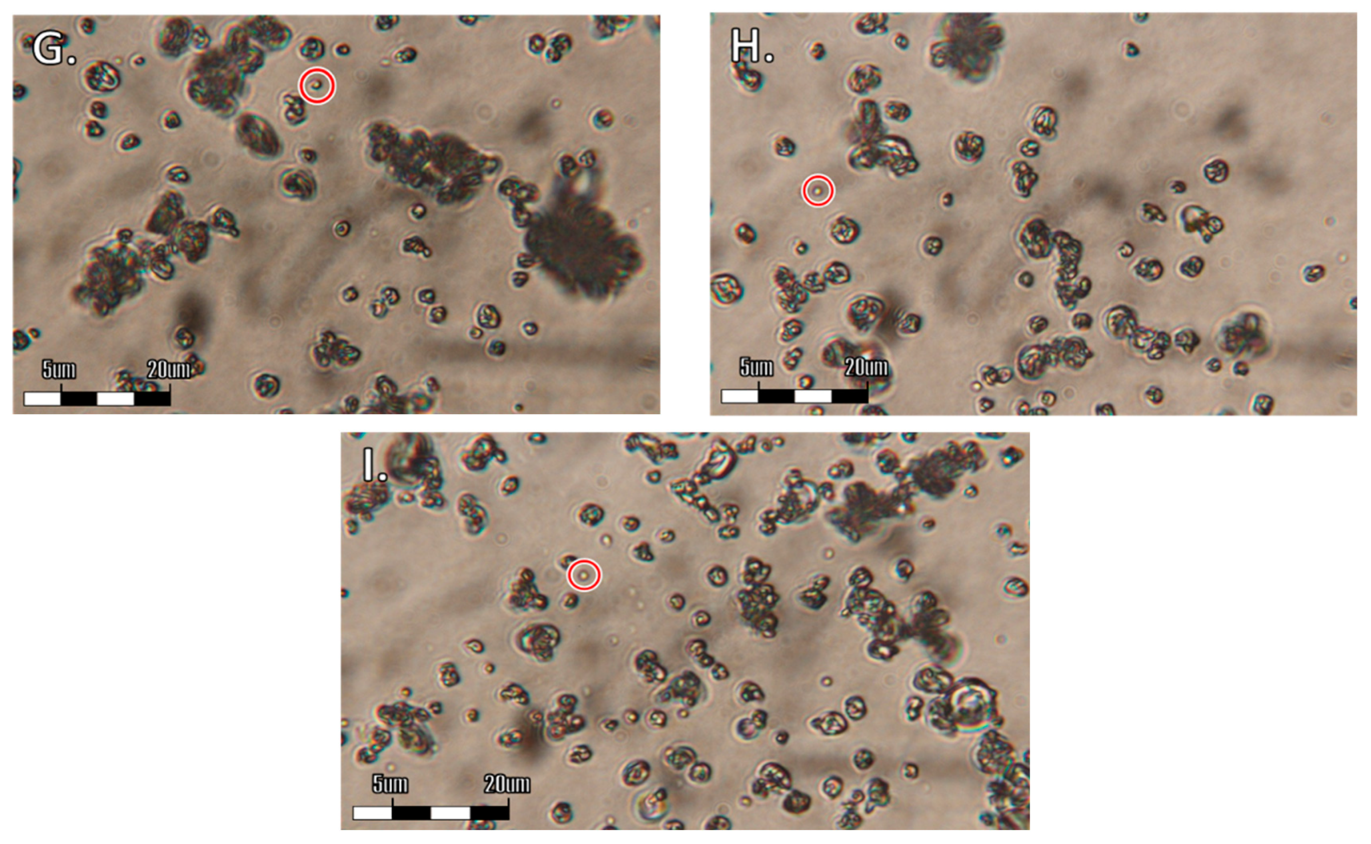 Processes 08 00172 g001b Processes 08 00172 g001b