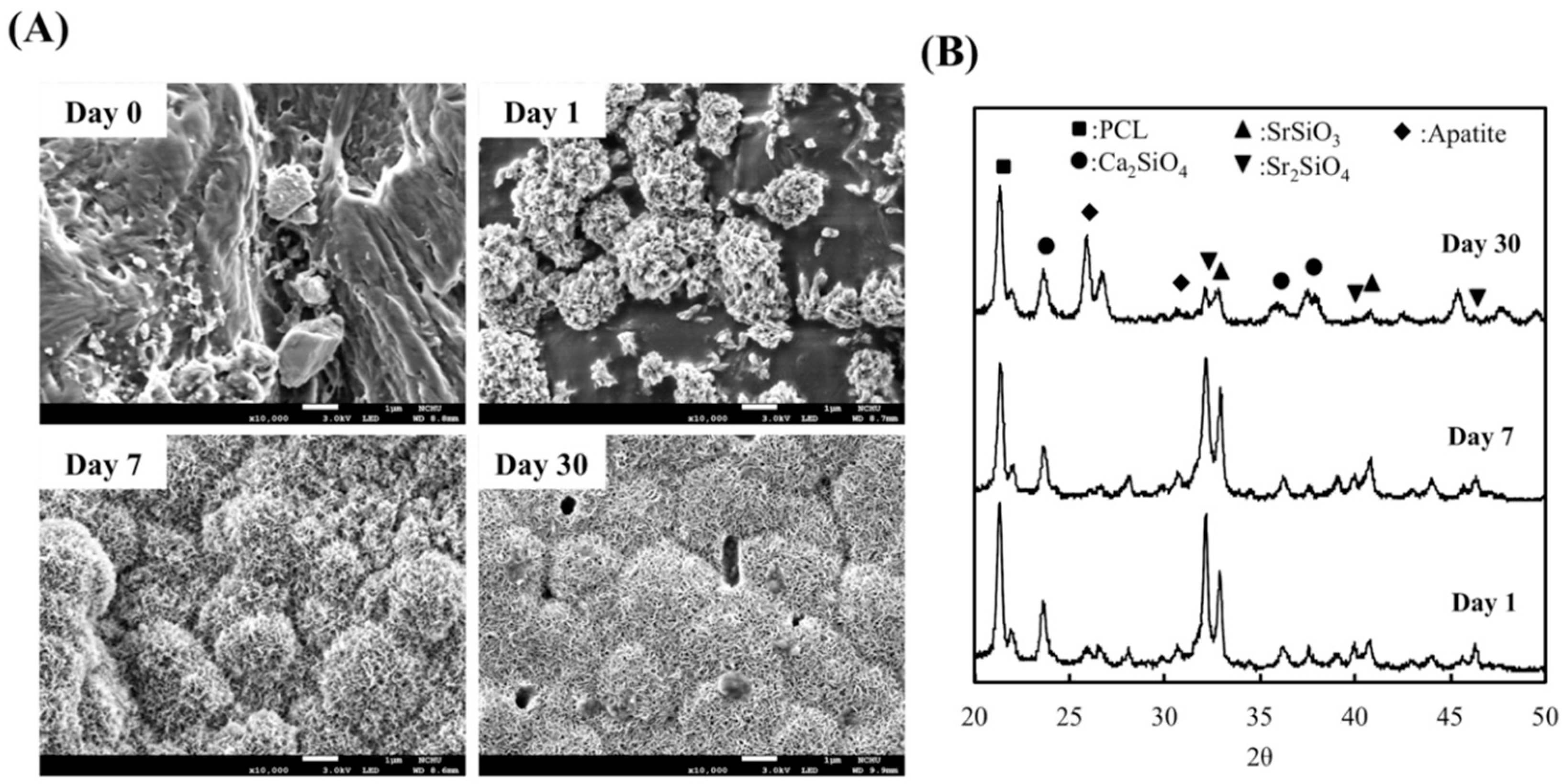 Processes 08 00198 g002 Processes 08 00198 g002