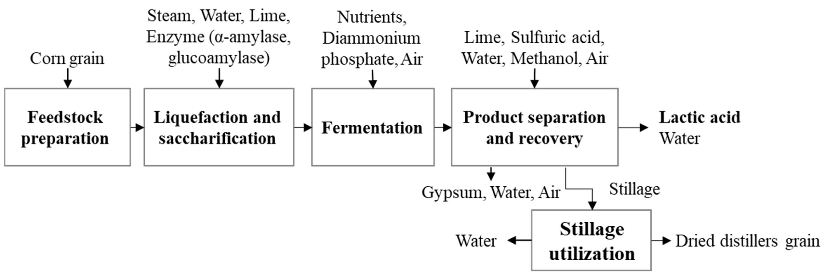 Lactic Acid Fermentation Process