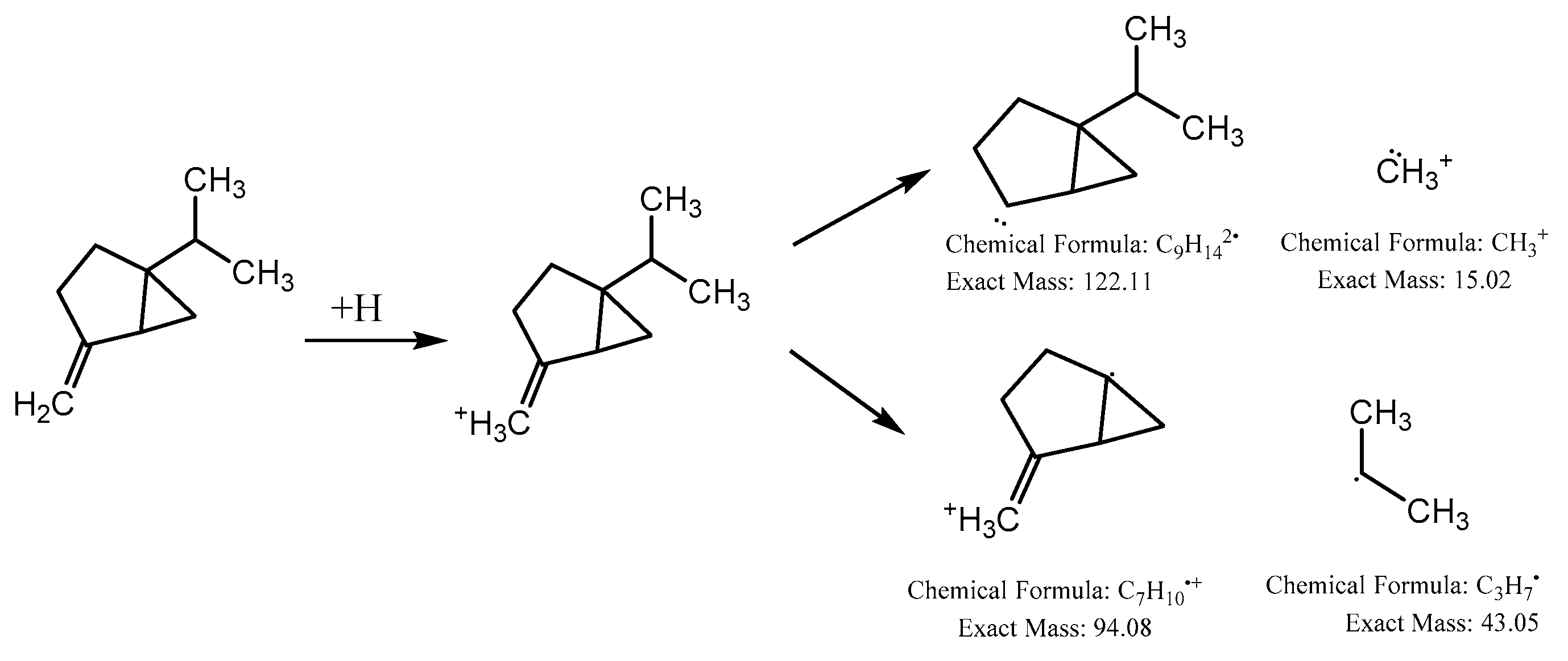 Processes 08 00202 g006