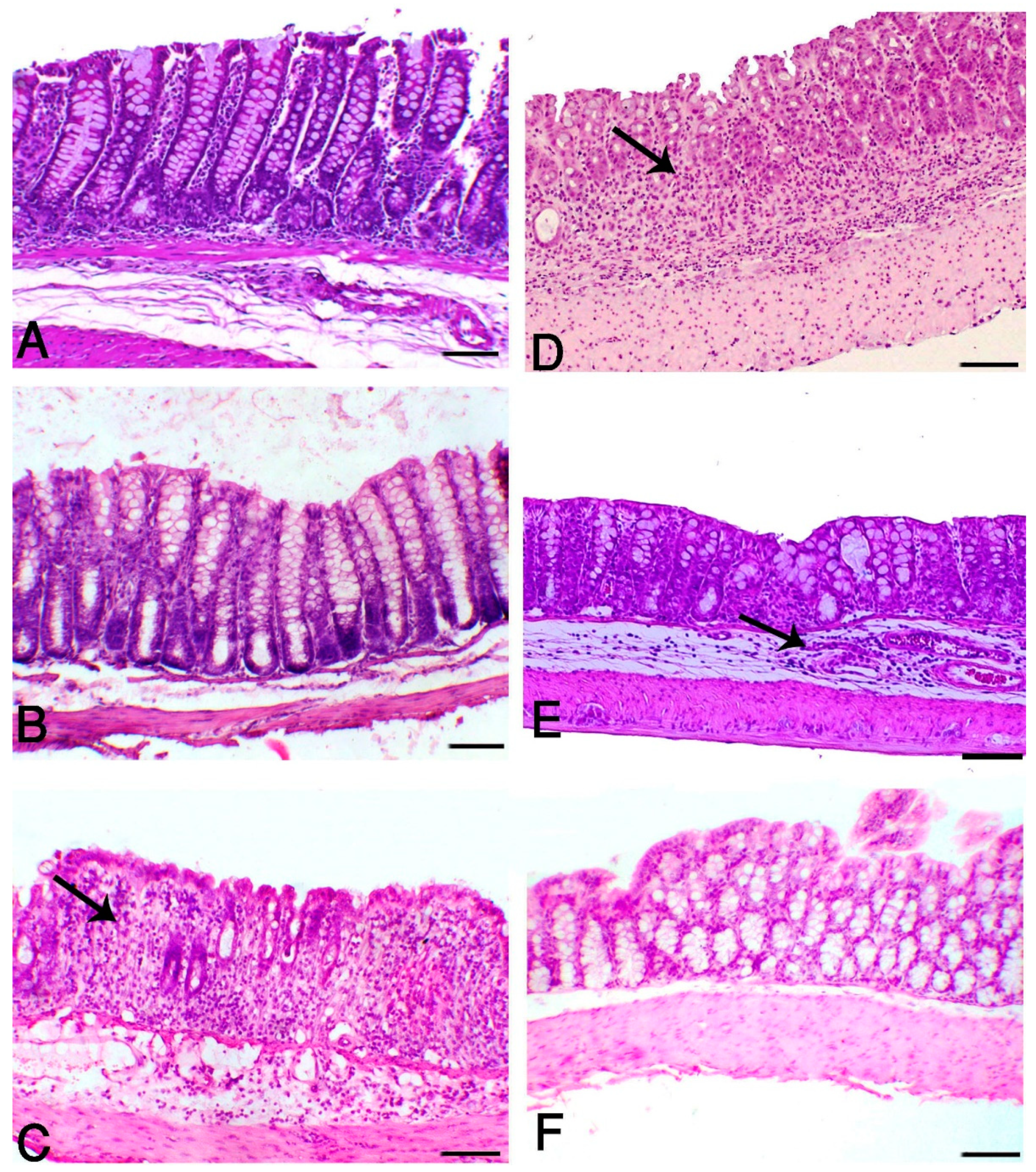 Processes 08 00225 g003