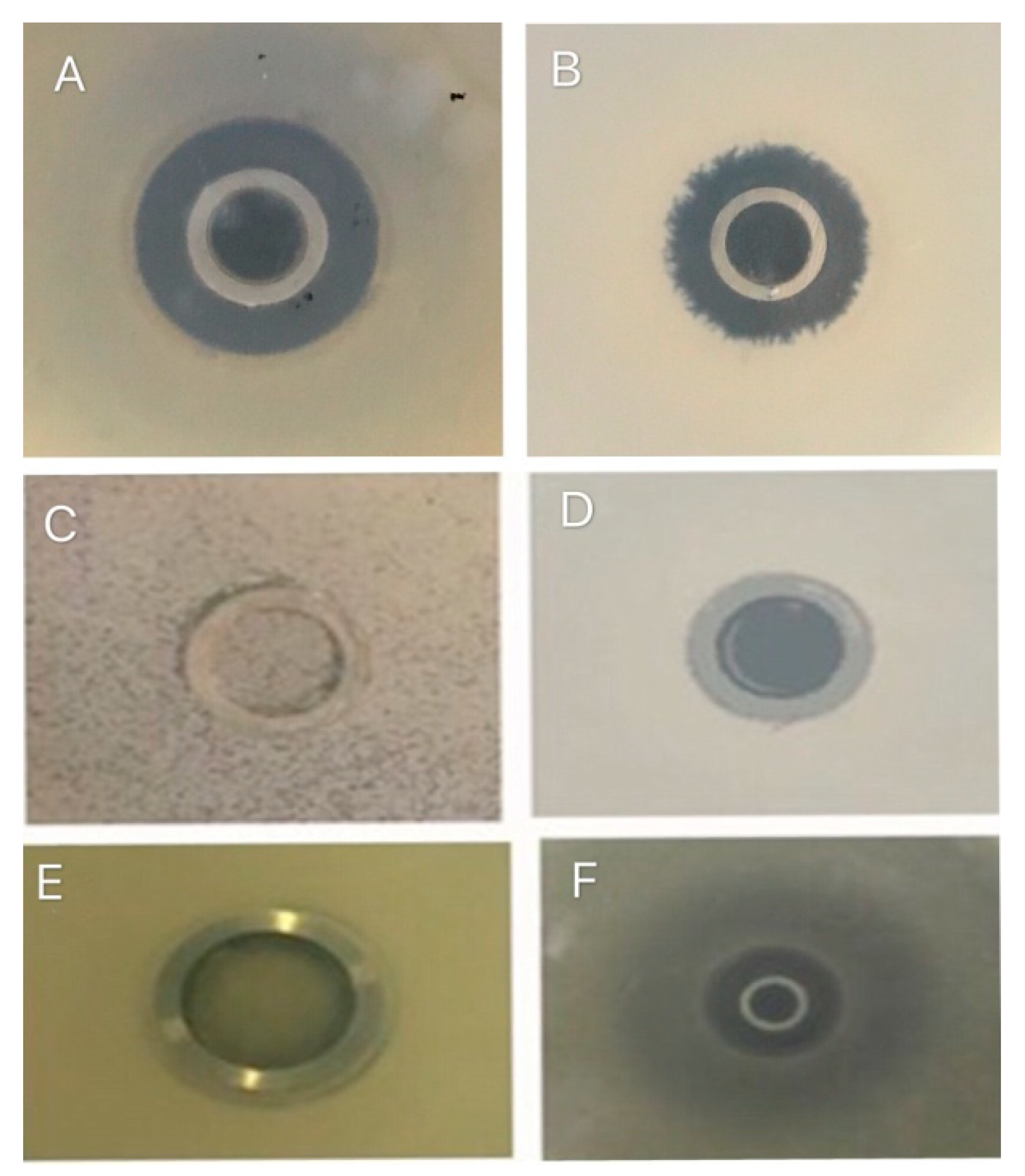 Processes 08 00259 g002 Processes 08 00259 g002