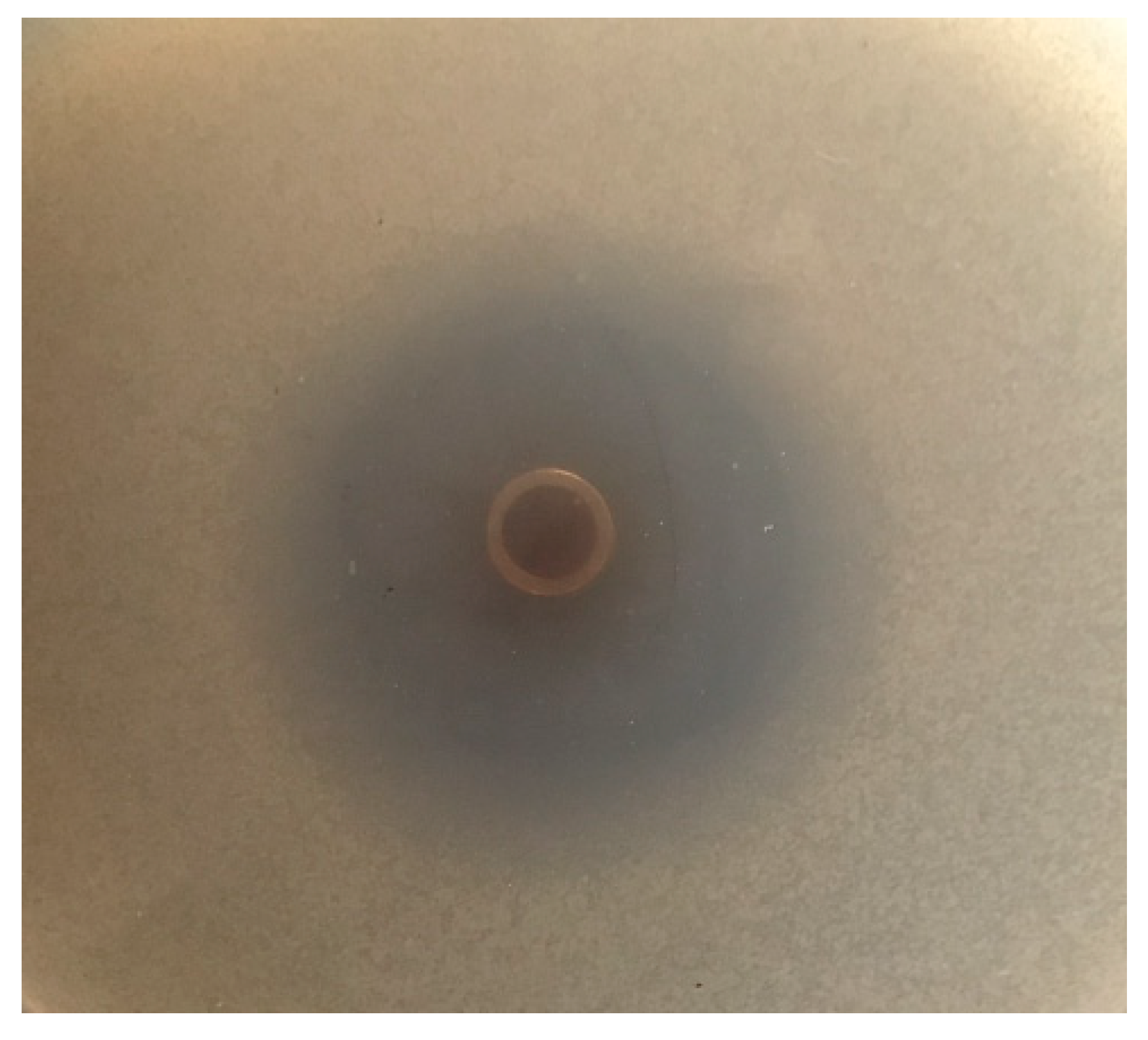 Processes 08 00259 g004 Processes 08 00259 g004