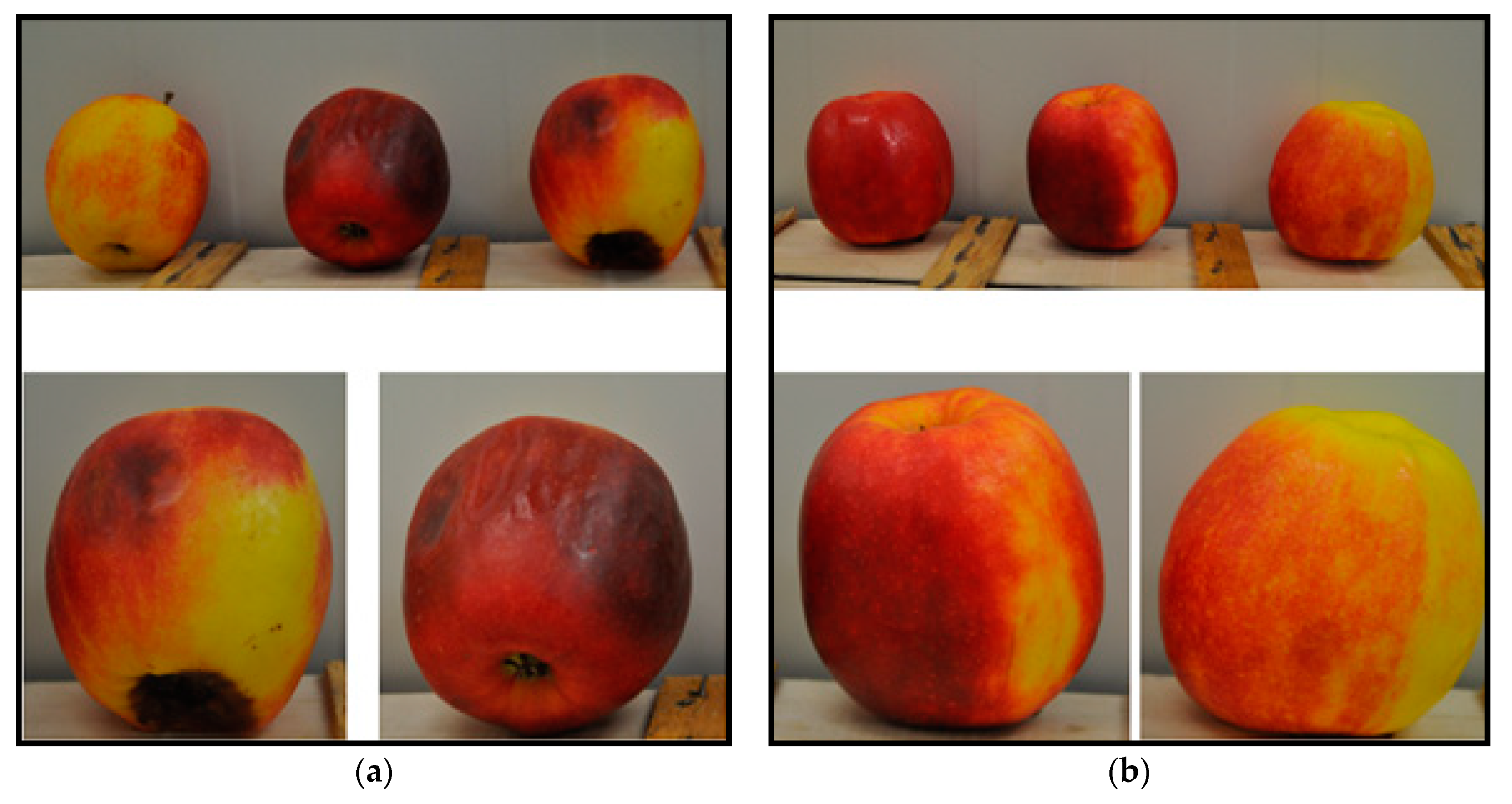 Processes 08 00262 g004