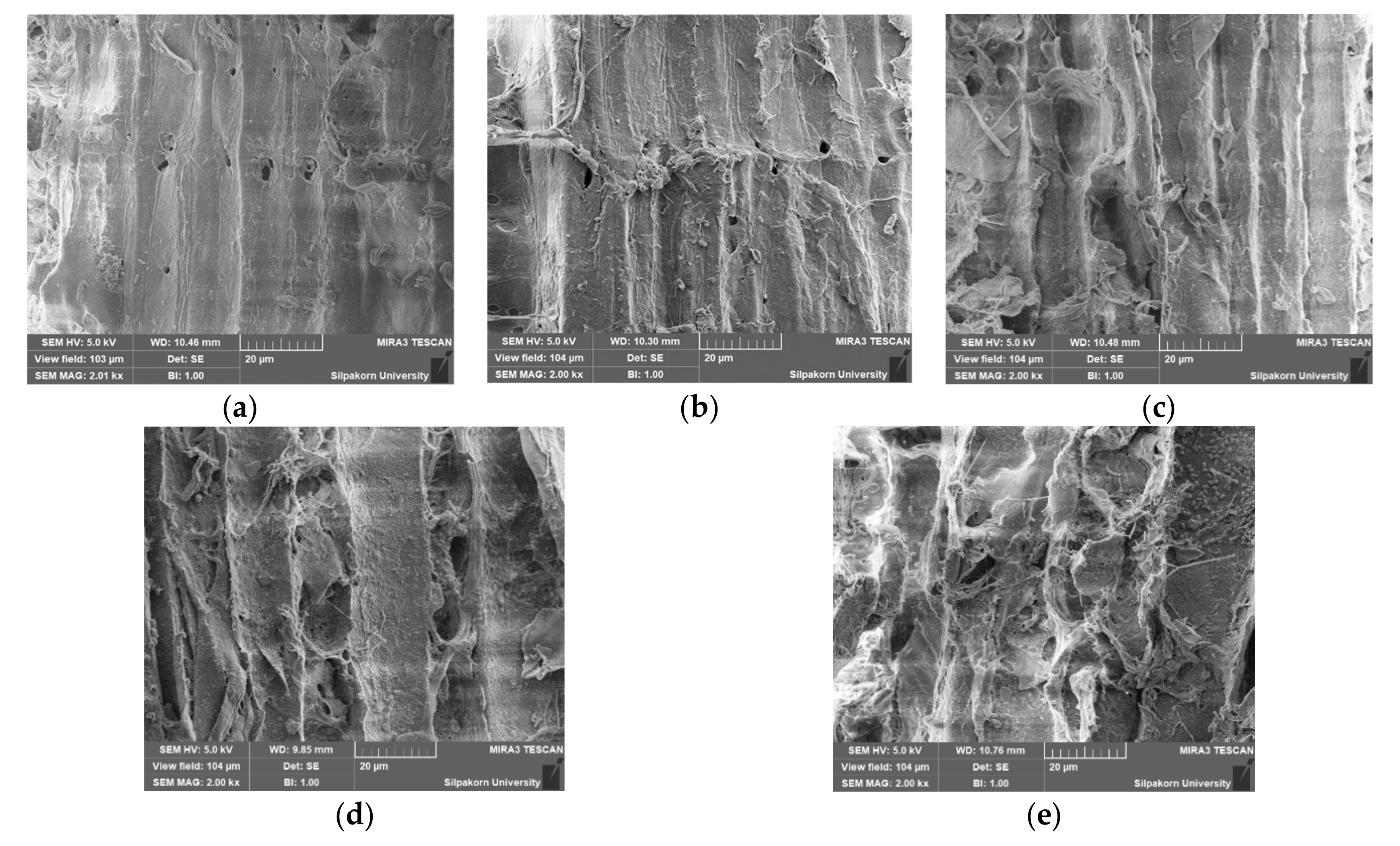 Processes 08 00267 g009 Processes 08 00267 g009