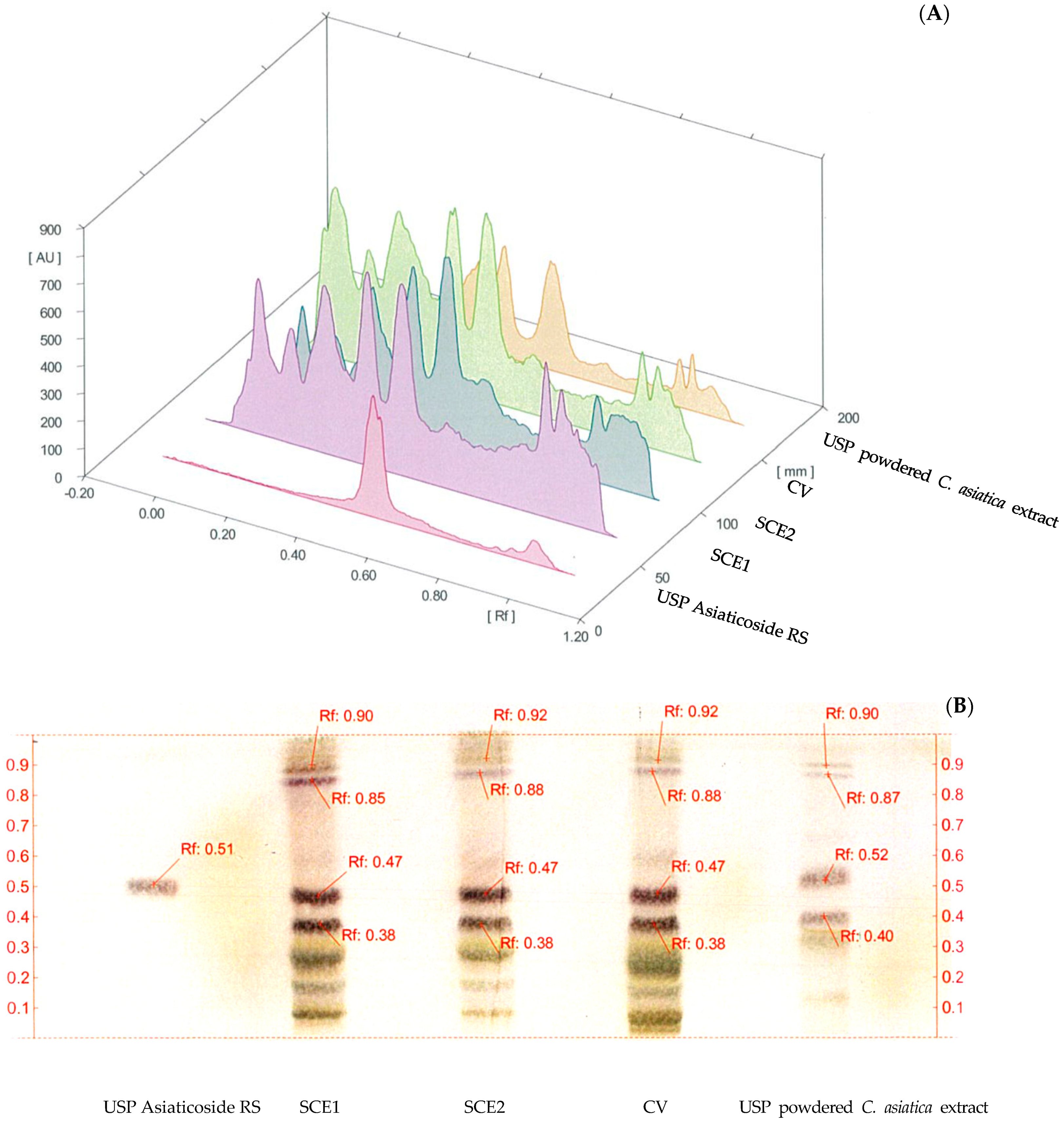 Processes 08 00277 g001 Processes 08 00277 g001