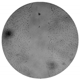 Processes 08 00277 i004 Processes 08 00277 i004