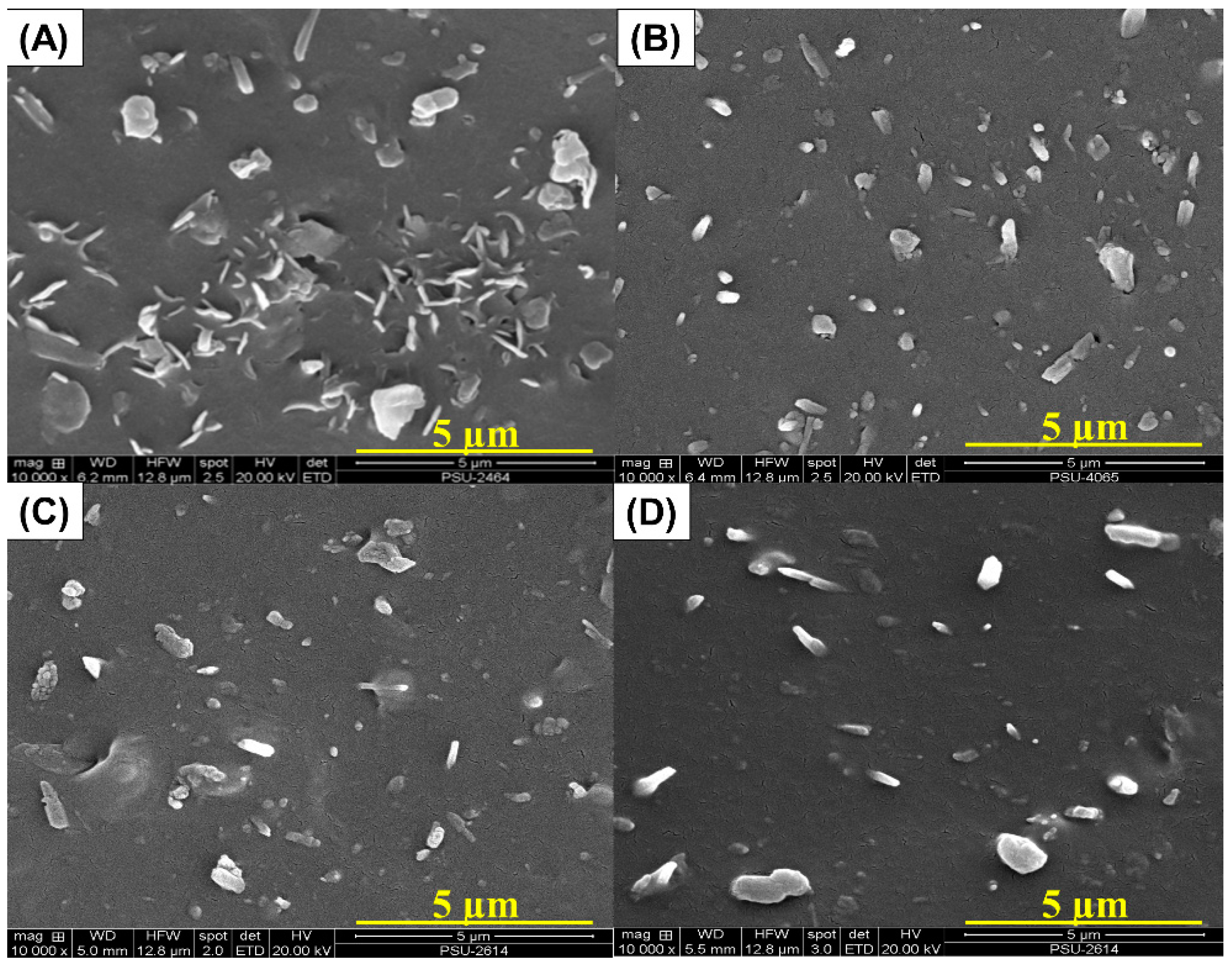 Processes 08 00286 g013