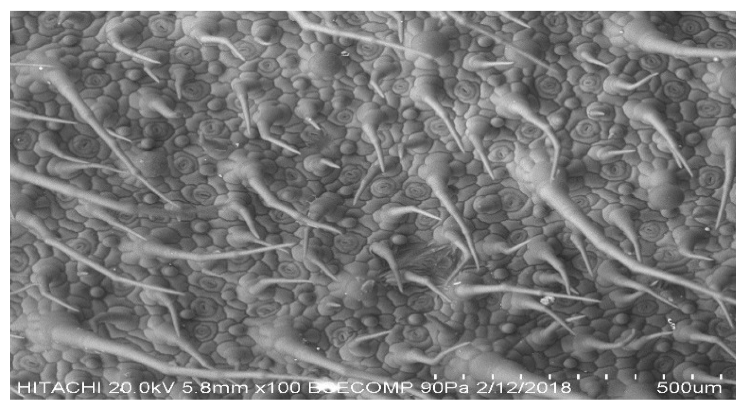 Processes 08 00322 g006 Processes 08 00322 g006