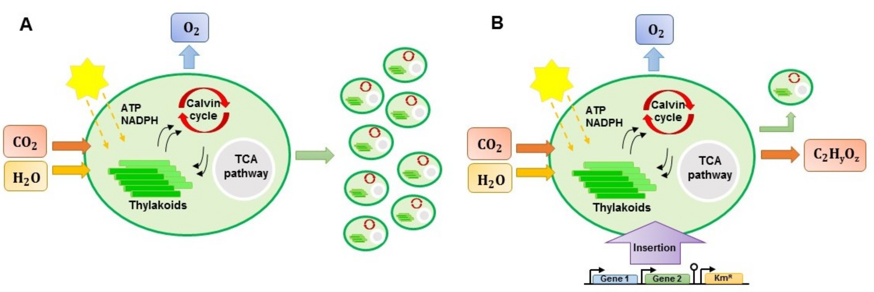 Processes 08 00323 g004 Processes 08 00323 g004