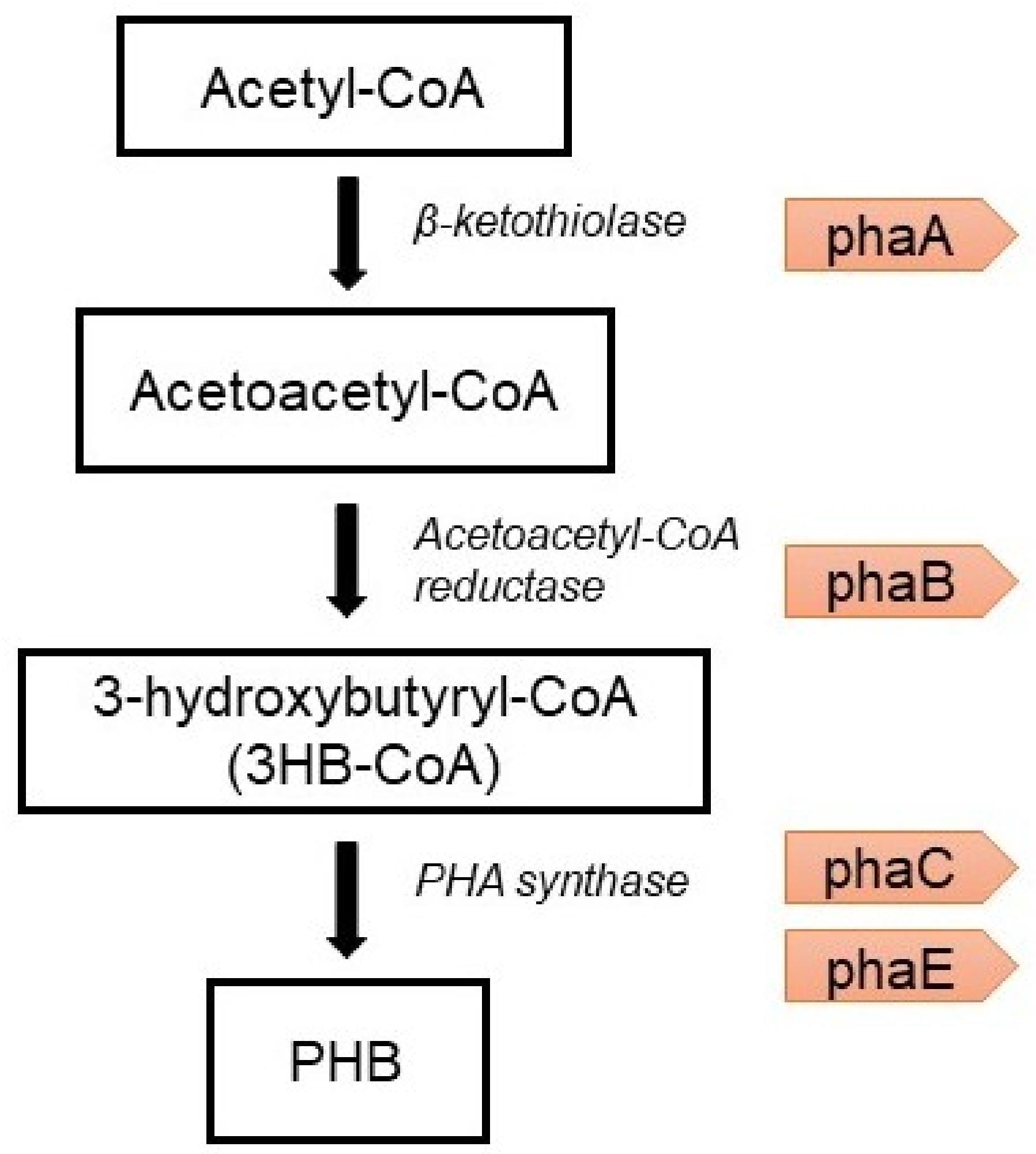 Processes 08 00323 g005 Processes 08 00323 g005