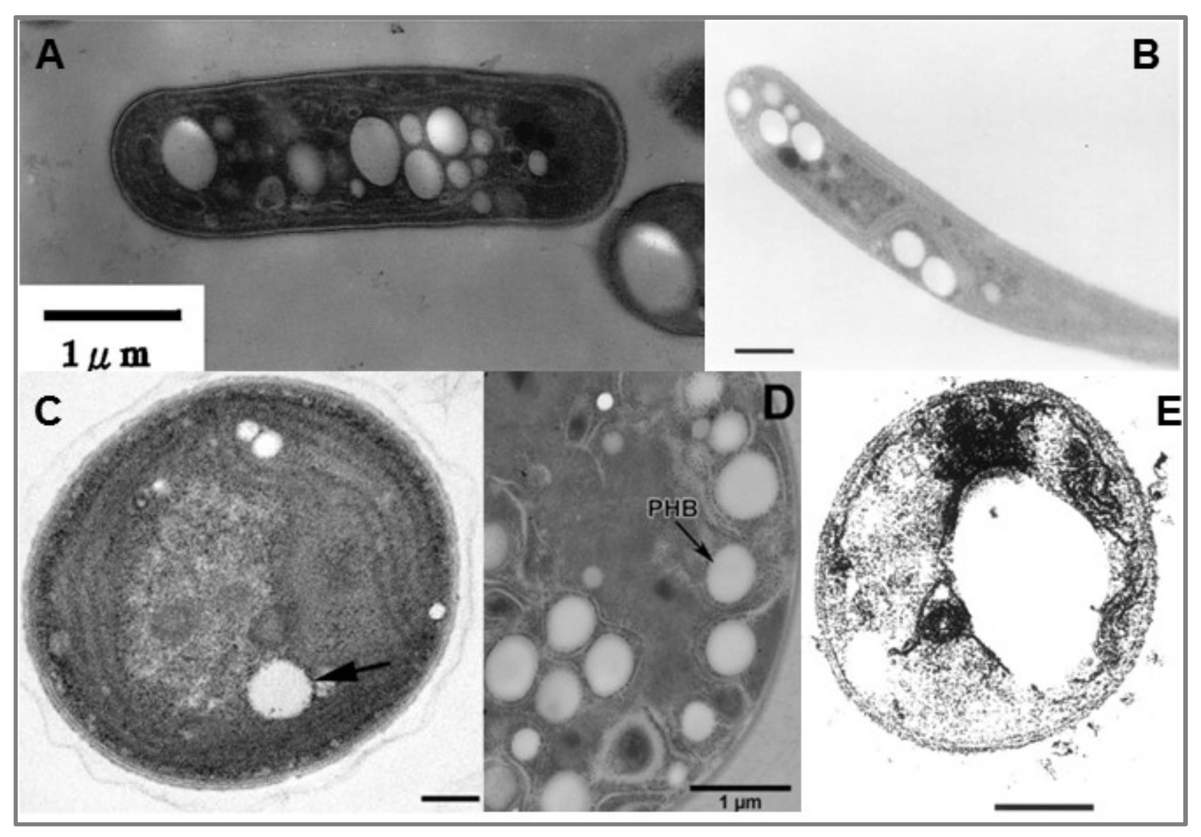 Processes 08 00323 g006 Processes 08 00323 g006