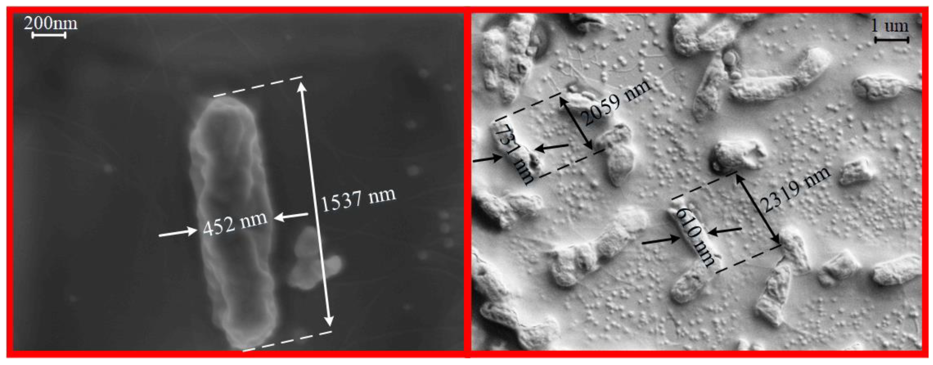 Processes 08 00326 g006