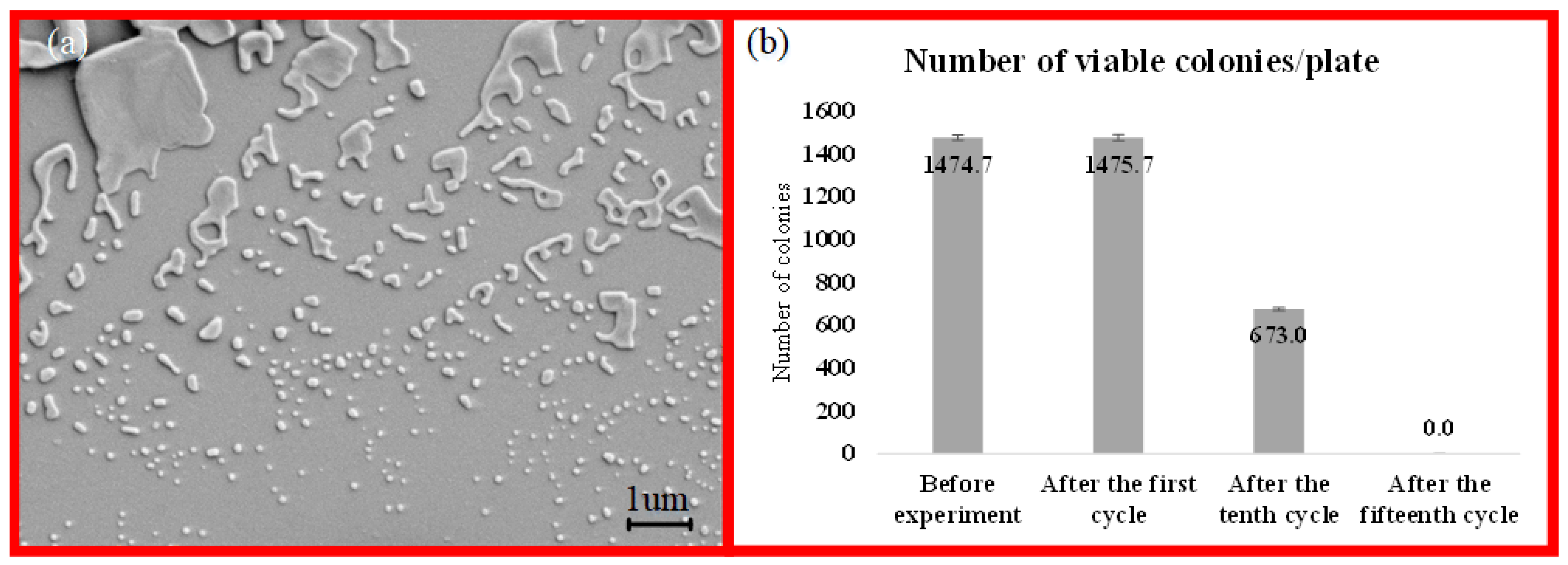 Processes 08 00326 g010