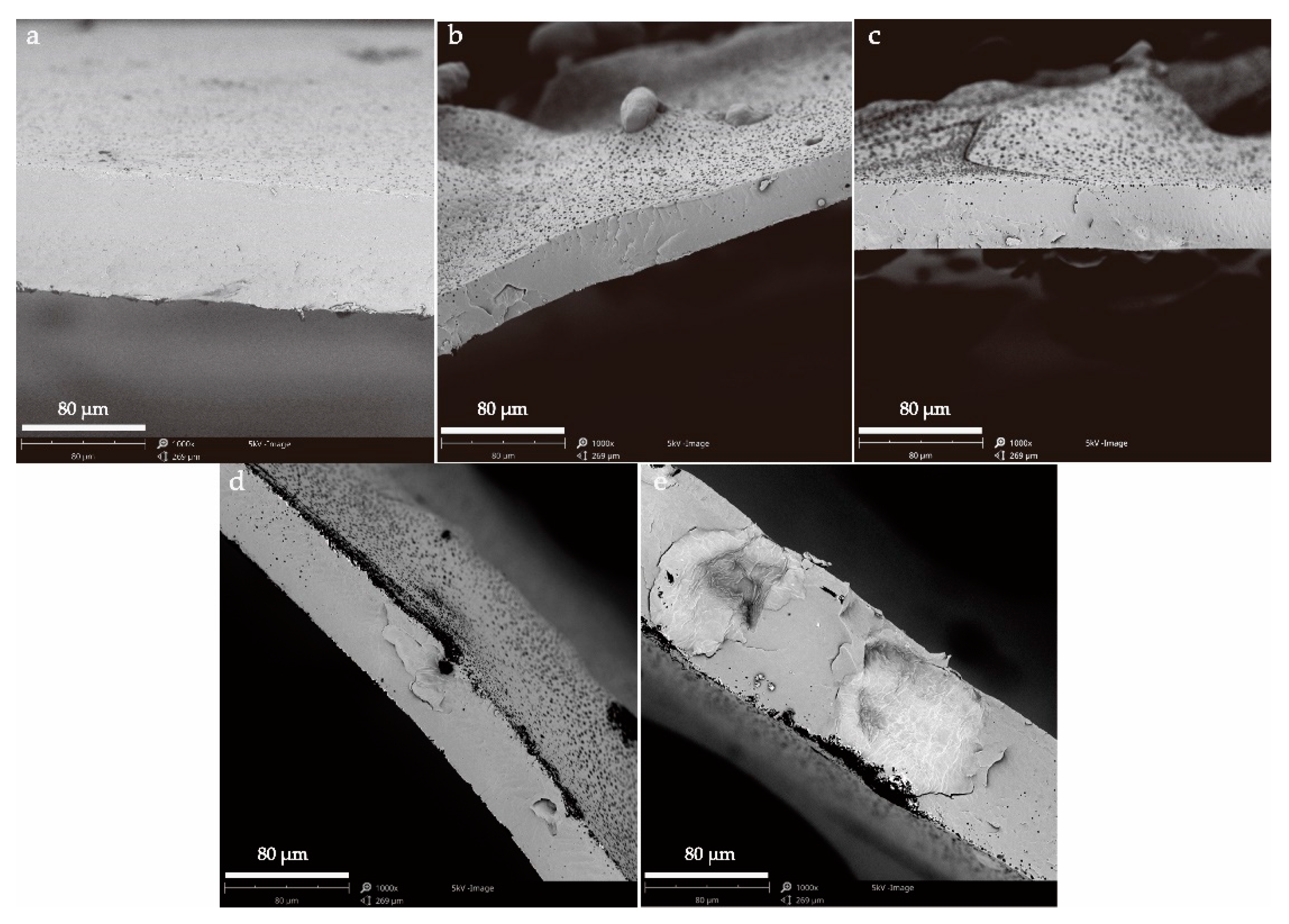 Processes 08 00329 g005