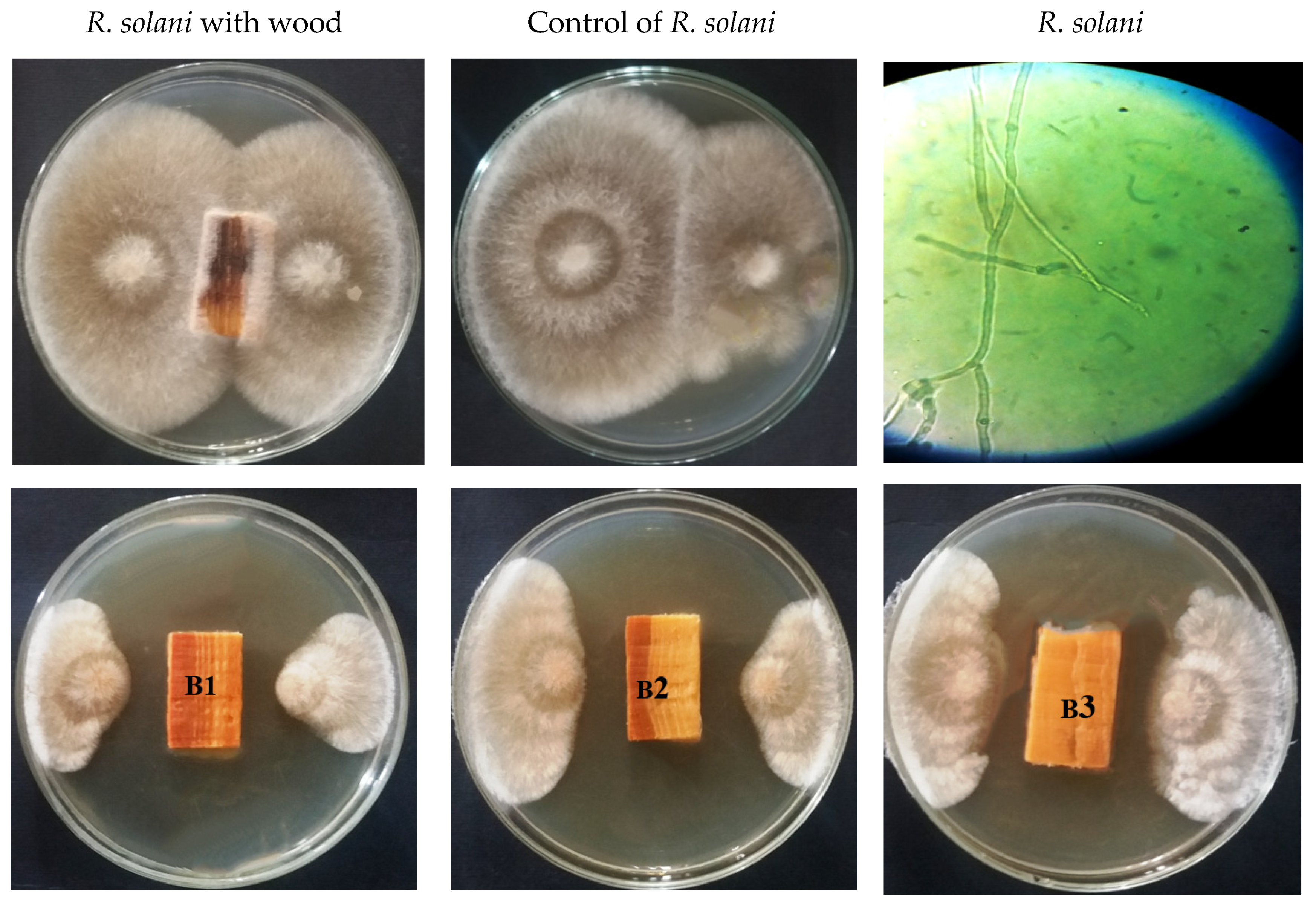 Processes 08 00330 g004a